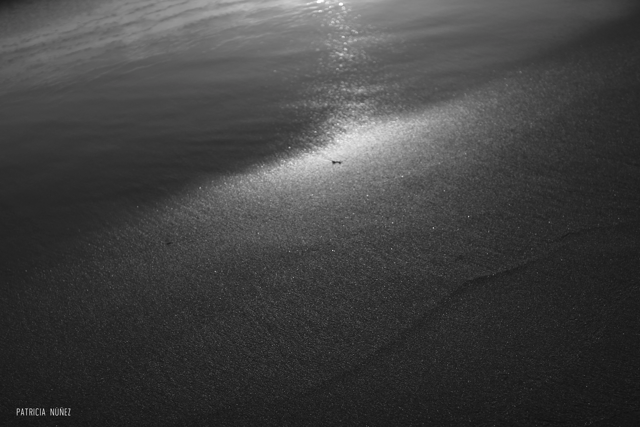 Sigma 30mm F1.4 EX DC HSM sample photo. Reflexo photography