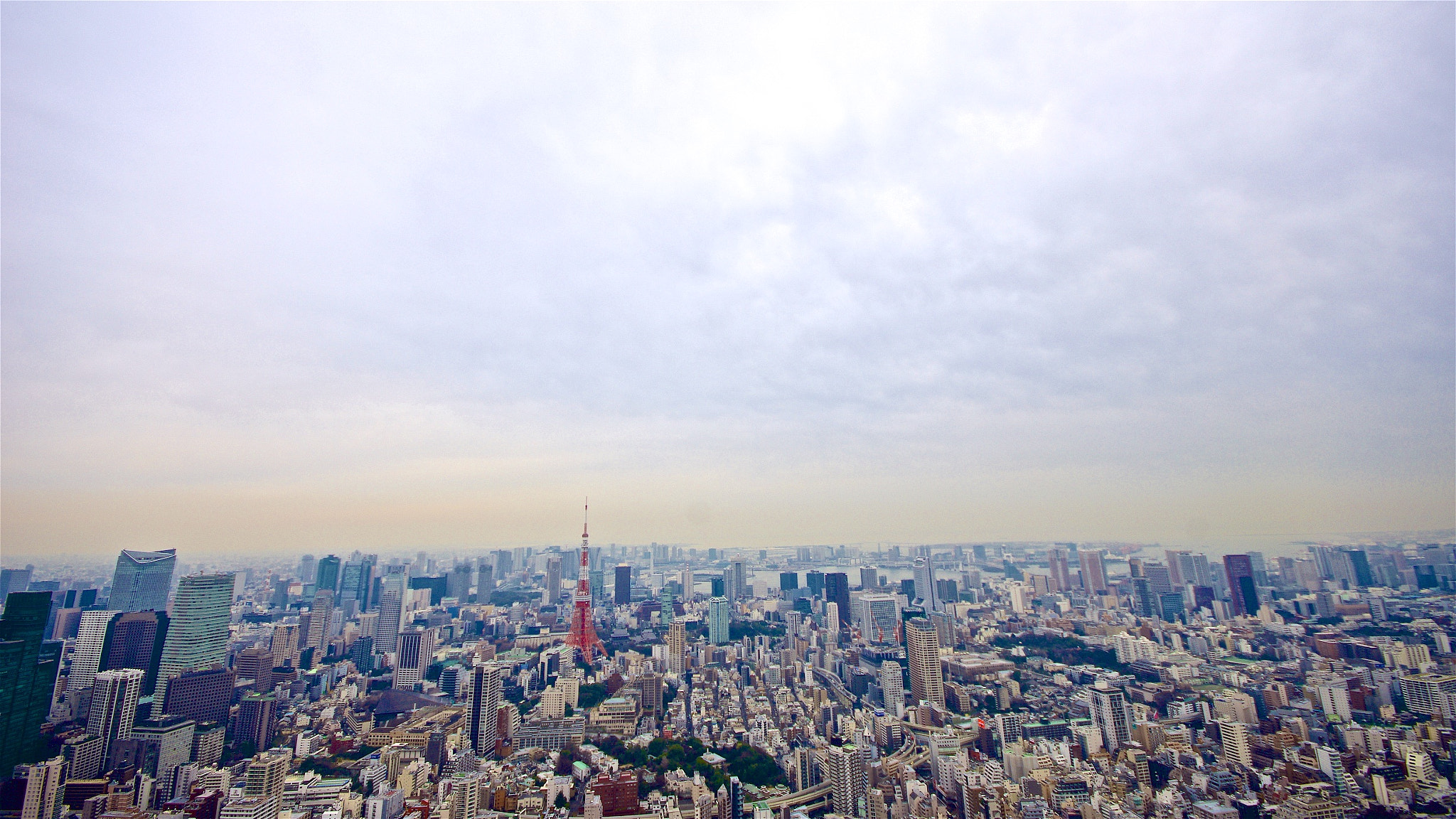 Sigma AF 10-20mm F4-5.6 EX DC sample photo. Tokyo panorama. photography