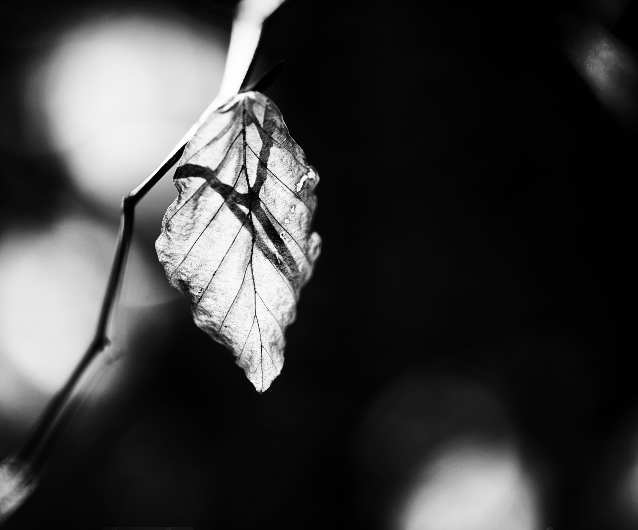 Sony Sonnar T* 135mm F1.8 ZA sample photo. Shadows photography
