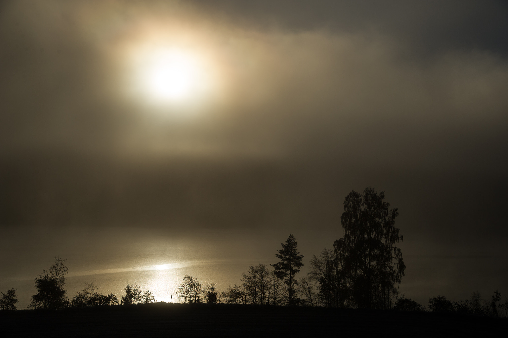 Nikon D3S sample photo. Foggy morningjpg photography