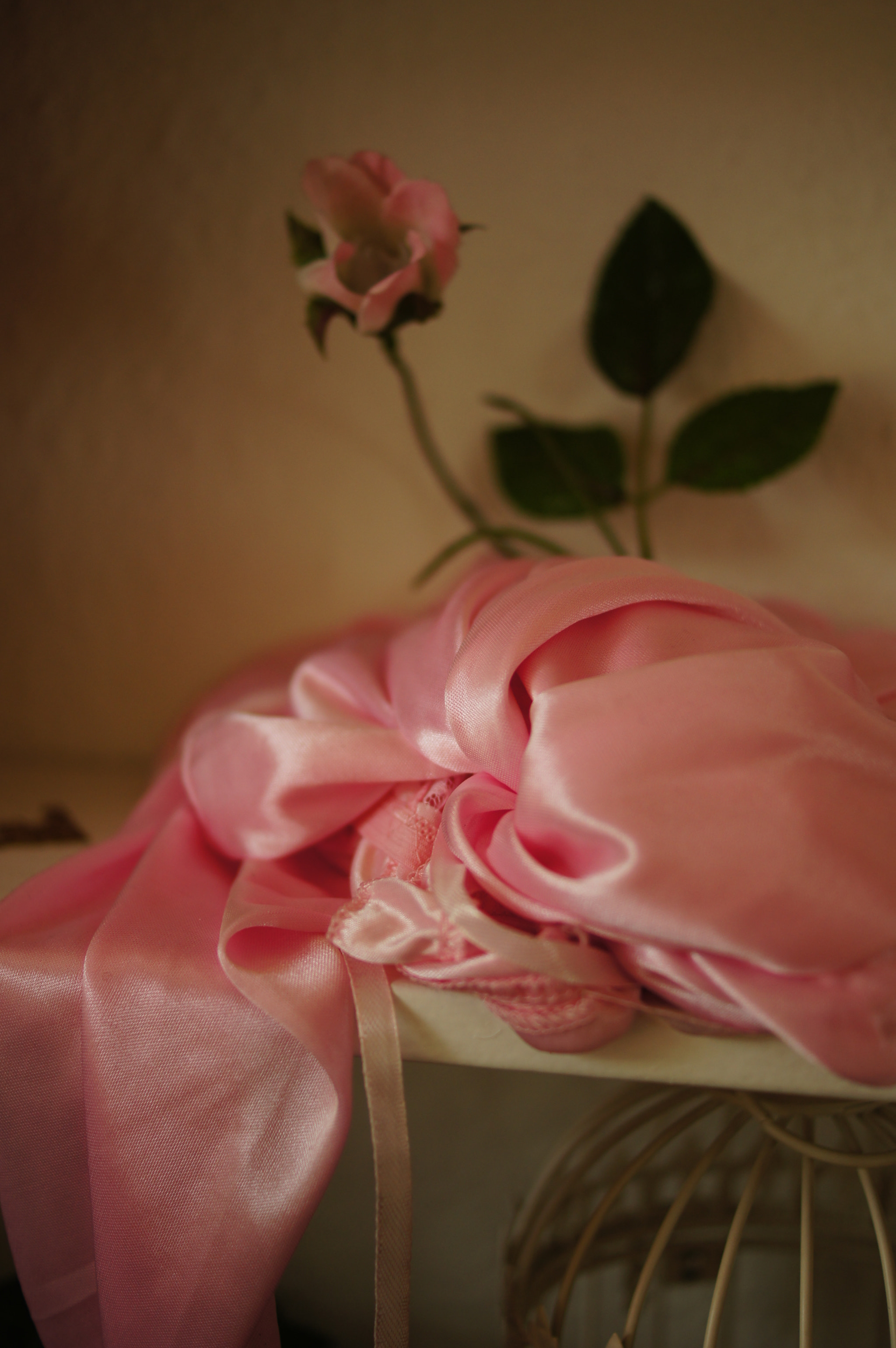 Sony SLT-A55 (SLT-A55V) + Sony DT 35mm F1.8 SAM sample photo. Accessoires photography