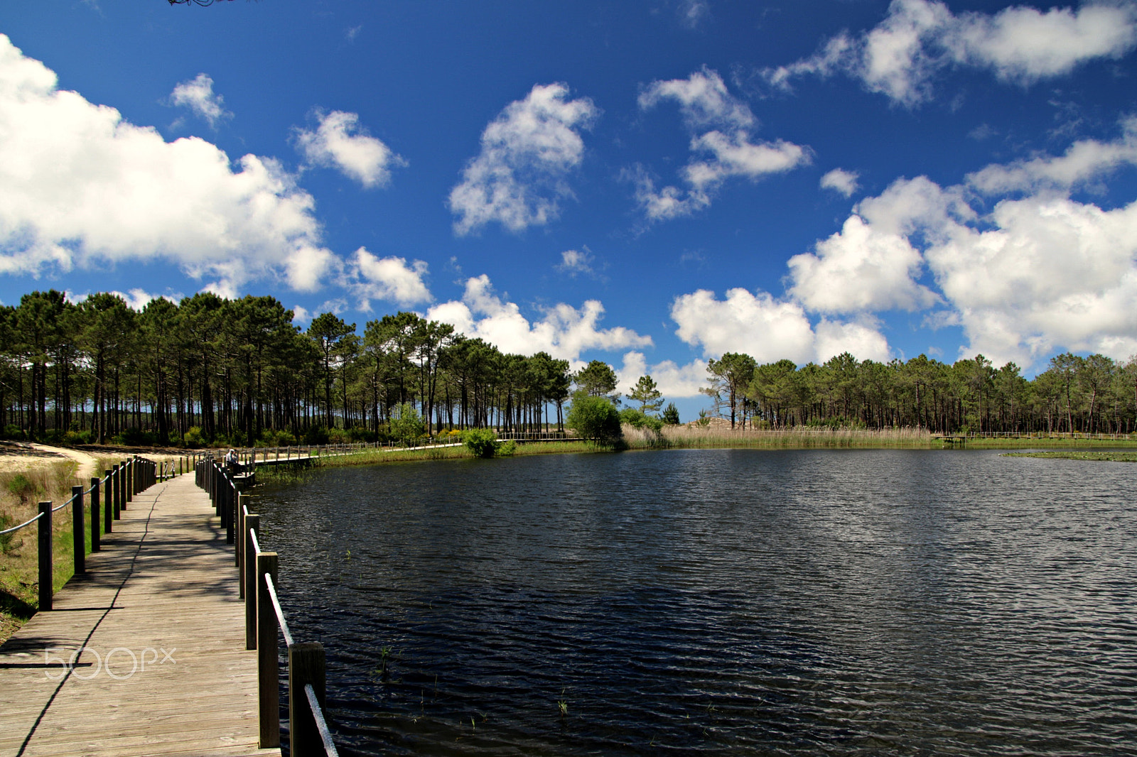 Canon TS-E 90mm F2.8 Tilt-Shift sample photo. Lagoon photography