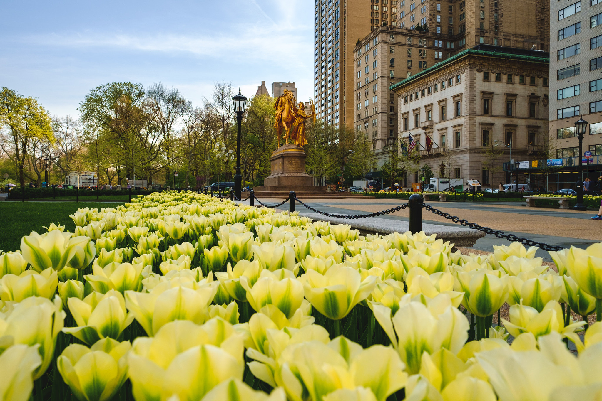 Fujifilm X-E1 + Fujifilm XF 16mm F1.4 R WR sample photo. Tulips at grand army plaza photography