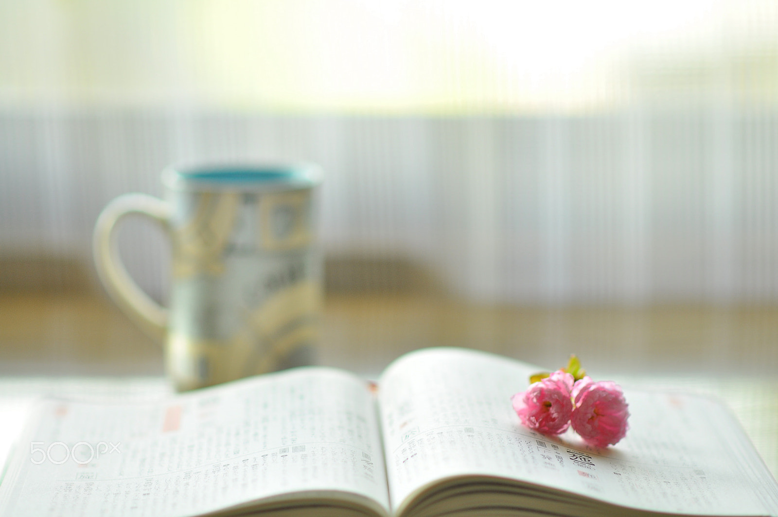 Nikon D5000 + Nikon AF-S Nikkor 85mm F1.8G sample photo. Morning coffee photography