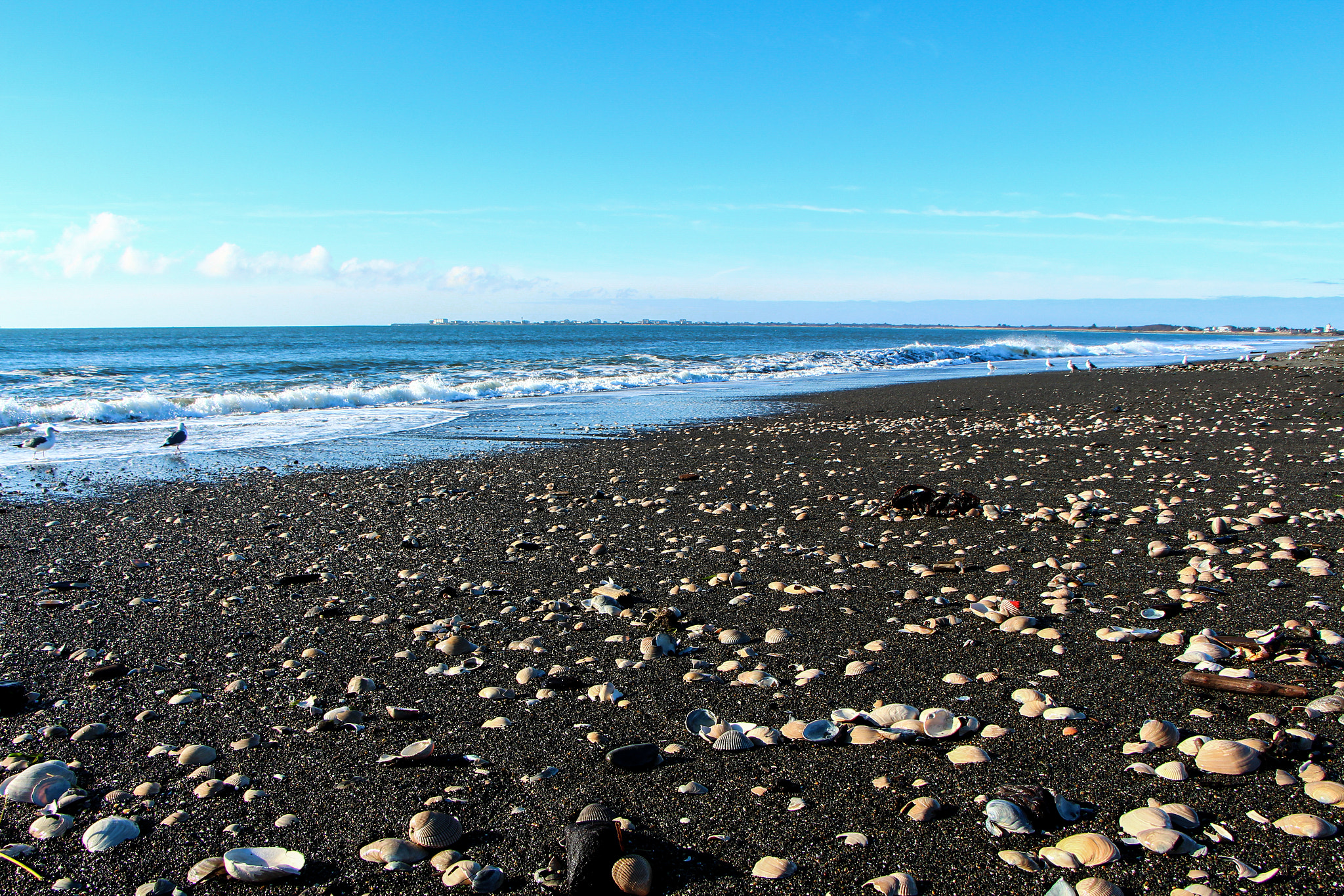 Canon EF-S 18-135mm F3.5-5.6 IS STM sample photo. Shell beach photography