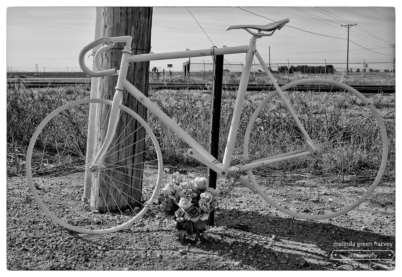 Leica Summarit-M 50mm F2.4 sample photo. The road home - mile 2.7: ghost bike photography