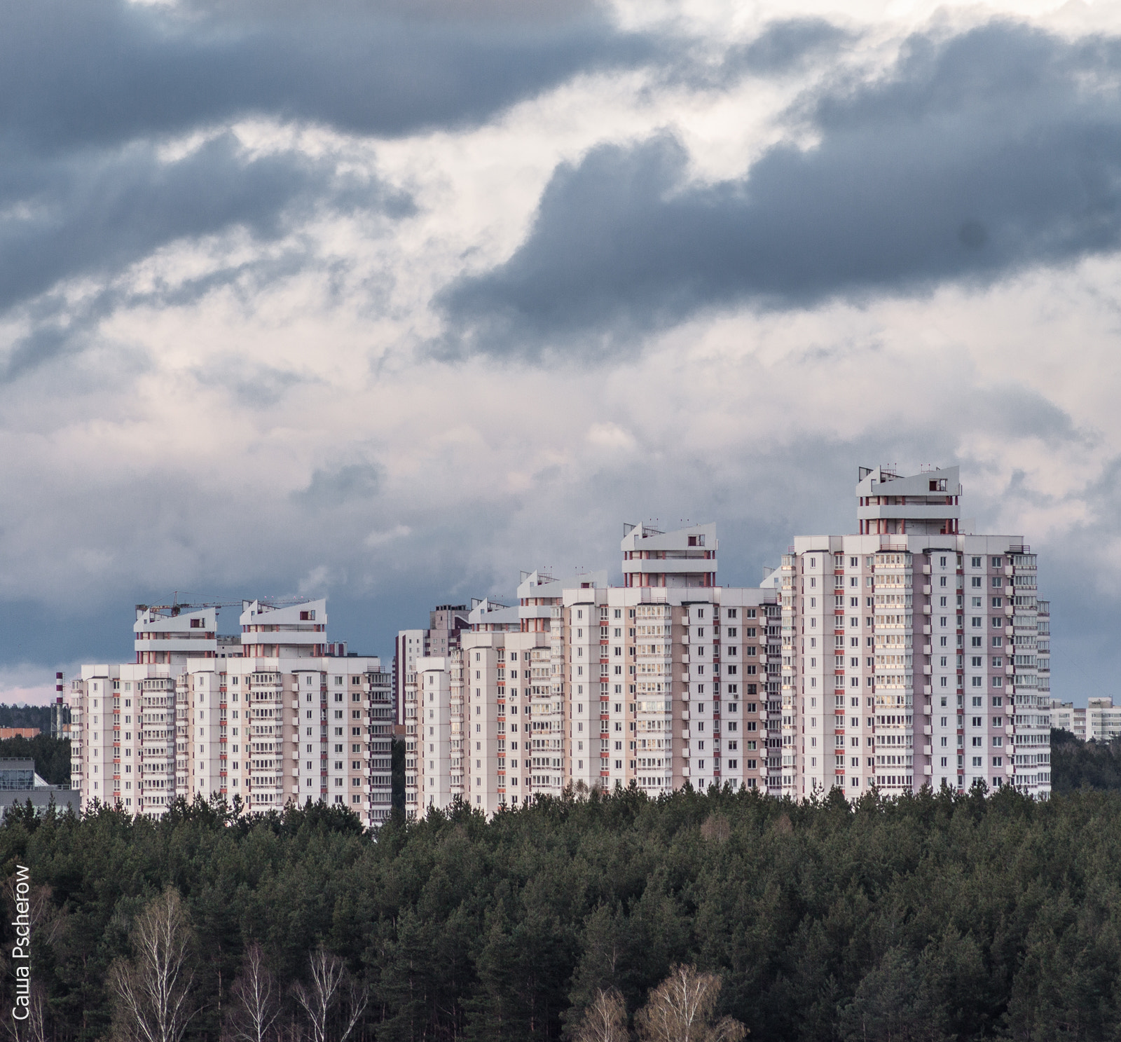 Canon EOS 50D + EF75-300mm f/4-5.6 sample photo. Above the treetops photography