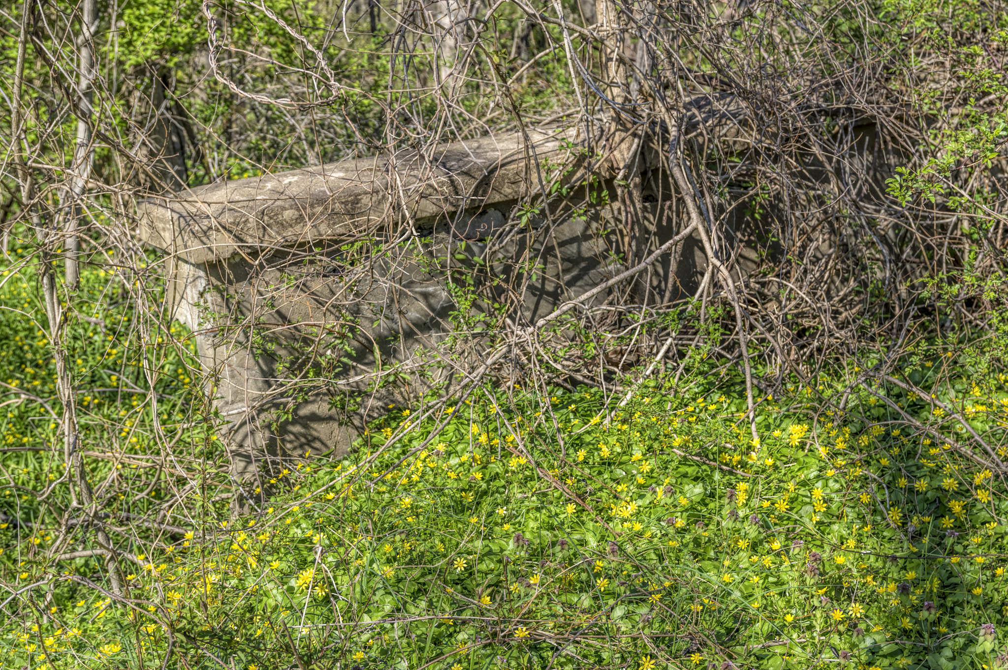 Pentax K-3 II + Sigma 17-70mm F2.8-4 DC Macro HSM Contemporary sample photo. Bridge out... photography