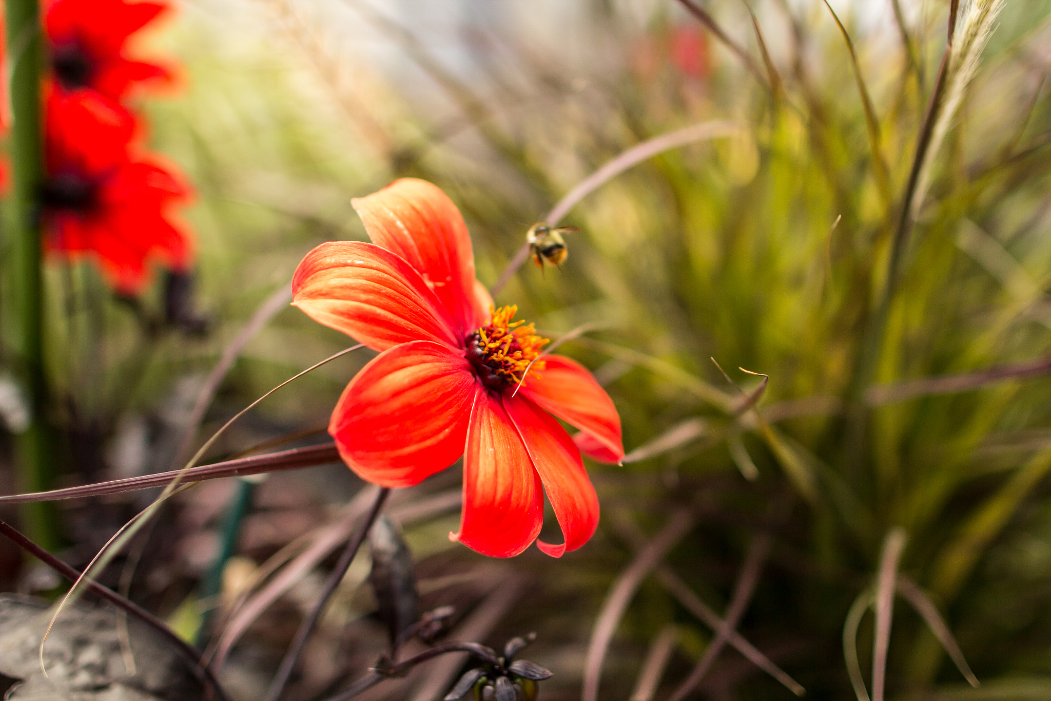 Canon EOS 60D + Canon EF 24mm F1.4L II USM sample photo. On to the next photography