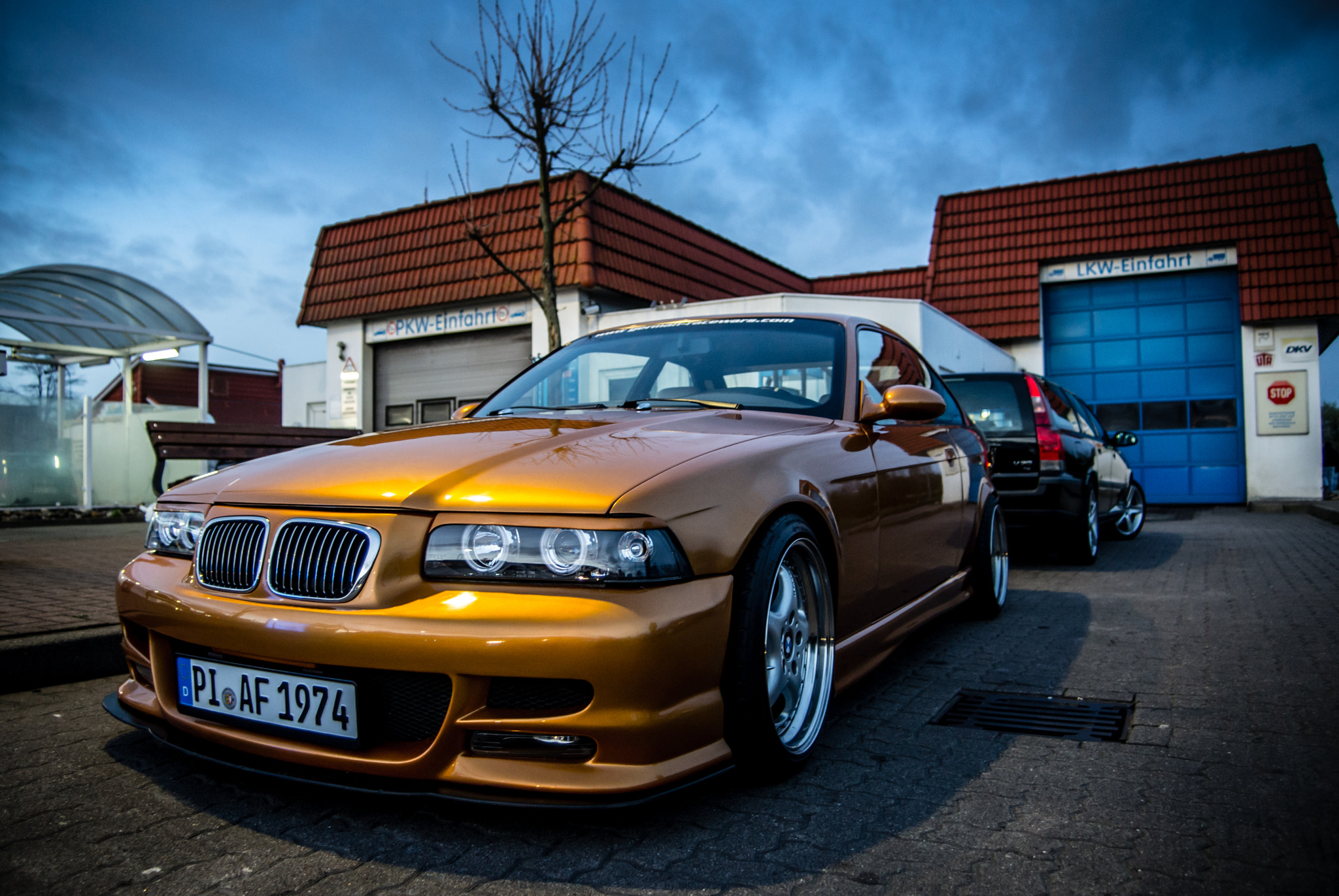 AF Zoom-Nikkor 24-50mm f/3.3-4.5 sample photo. Golden beauty photography