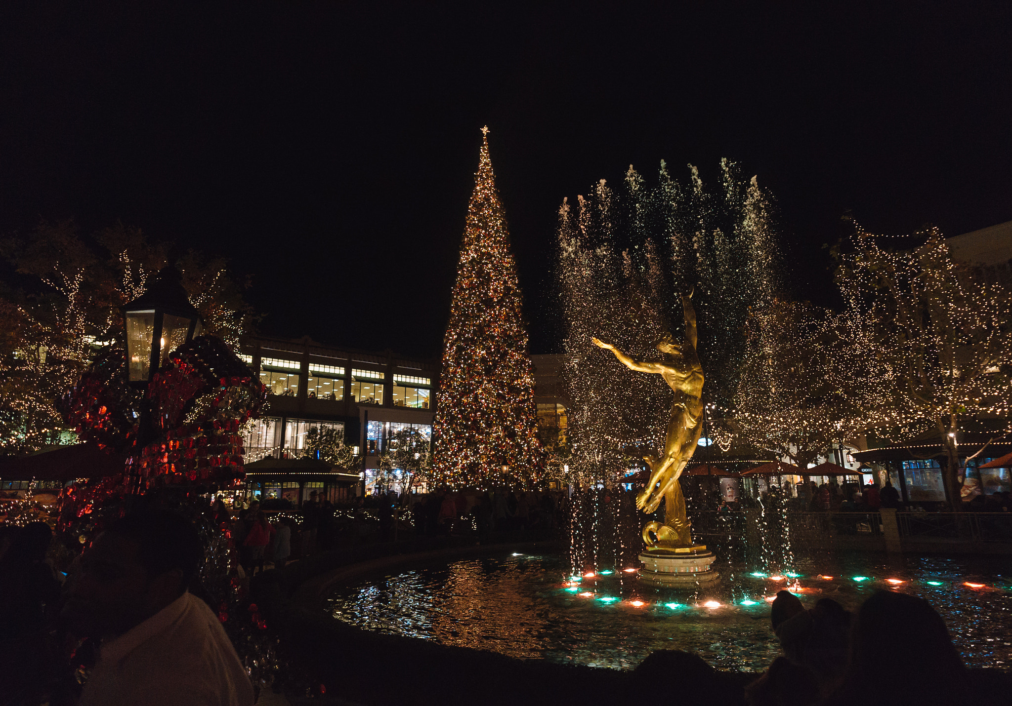 Sony Alpha NEX-6 + ZEISS Touit 12mm F2.8 sample photo. The americana at brand photography