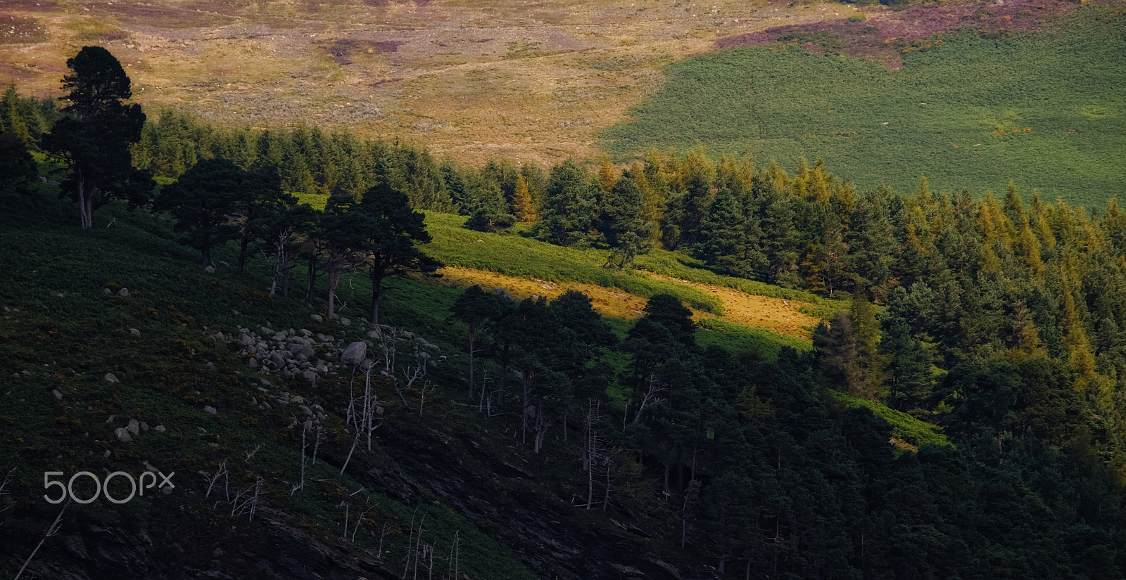 Fujifilm X-M1 + Fujifilm XC 50-230mm F4.5-6.7 OIS sample photo. ...sunny marge... photography