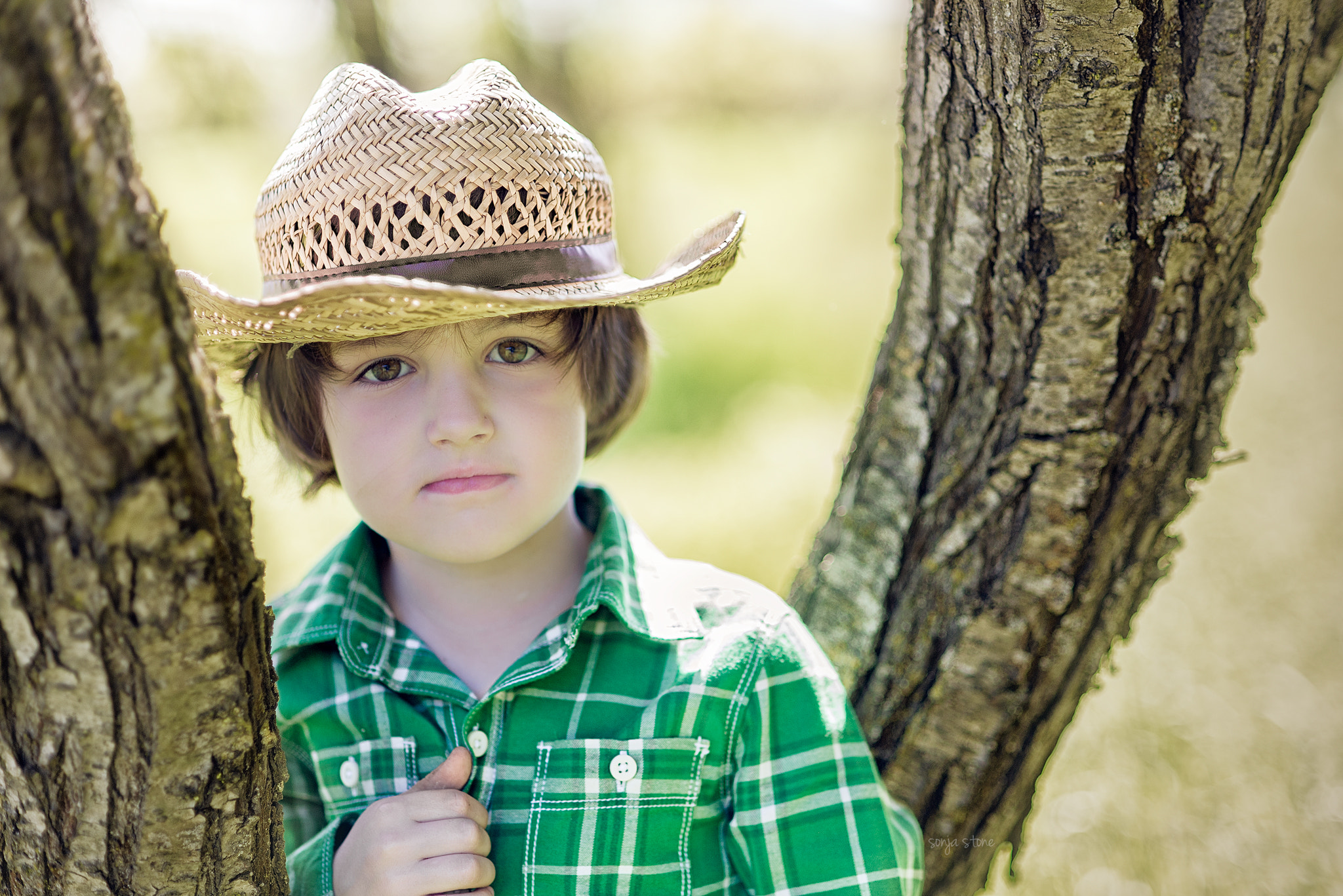 Nikon D600 + AF Nikkor 85mm f/1.8 sample photo. A little country photography