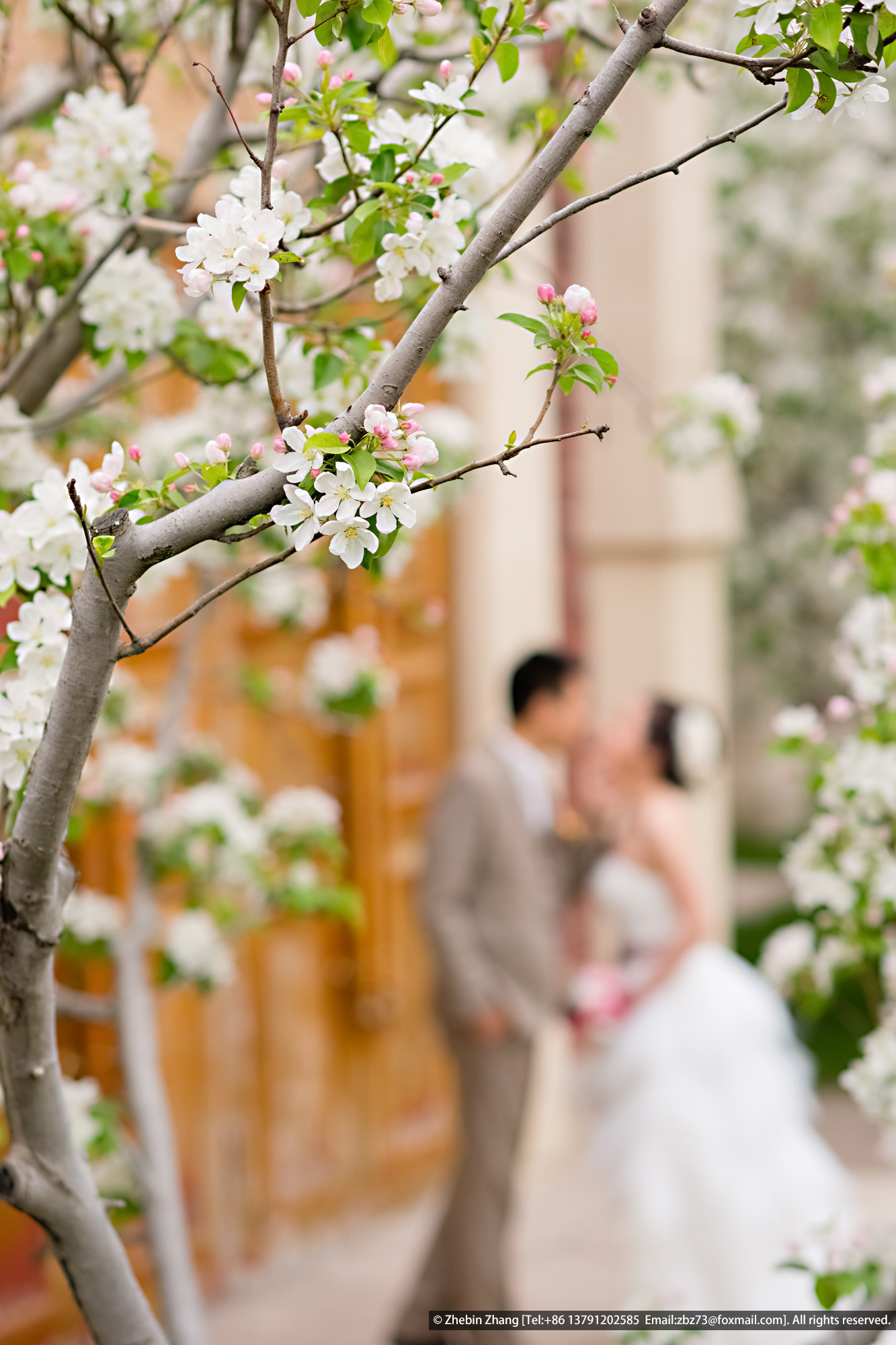 Sony Planar T* 85mm F1.4 ZA sample photo. The best is yet to come photography