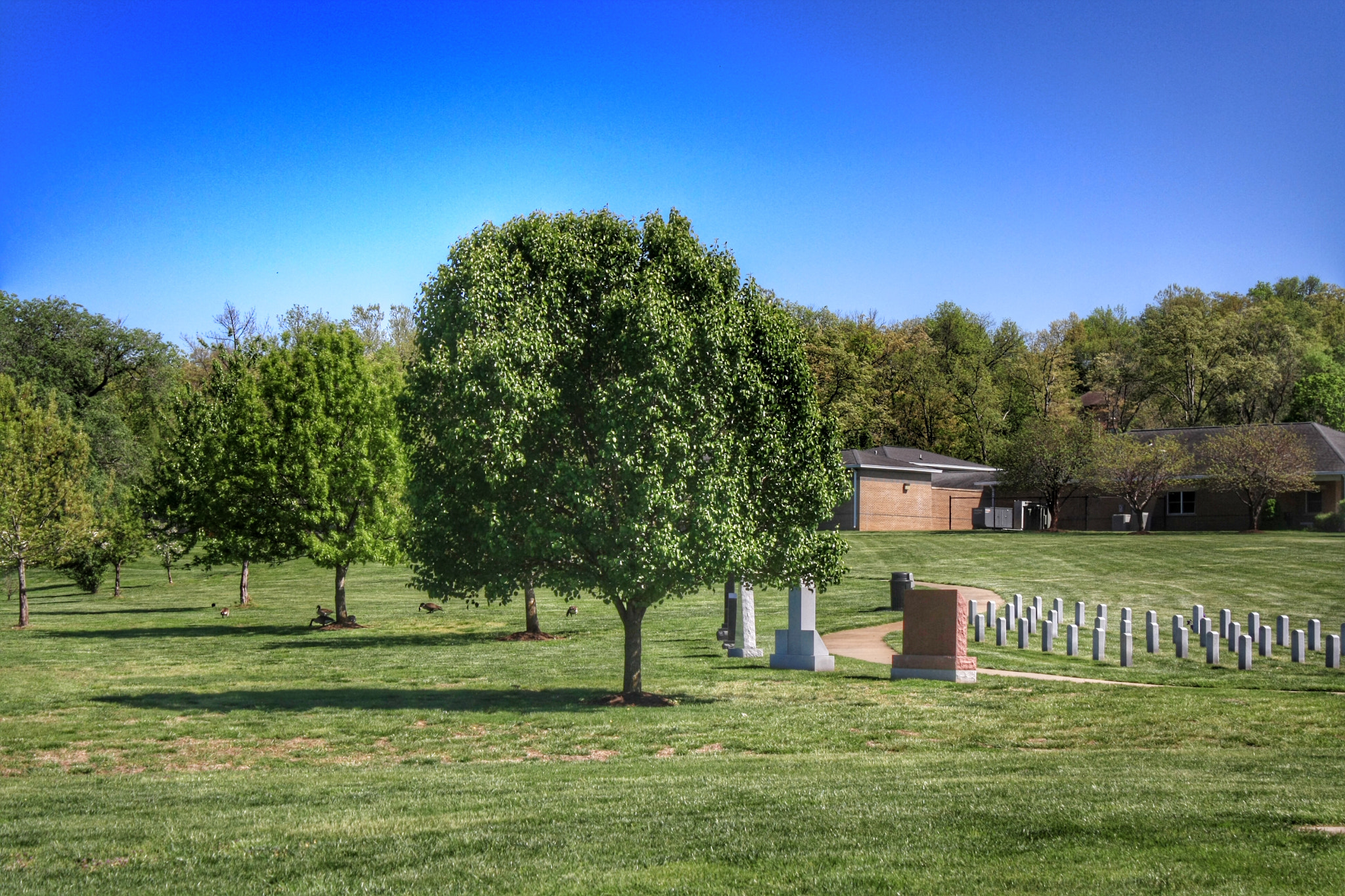 Canon EF-S 18-55mm F3.5-5.6 IS sample photo. Missouri veterans memorial cemetery photography