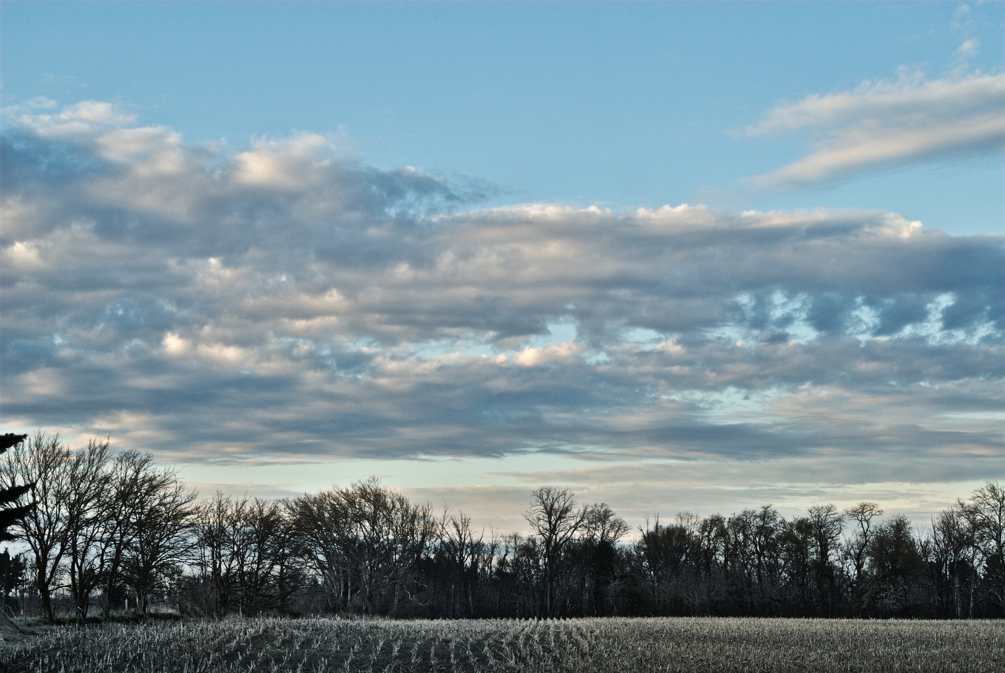 Nikon D200 + AF Zoom-Nikkor 35-70mm f/3.3-4.5 sample photo. Out my back door photography