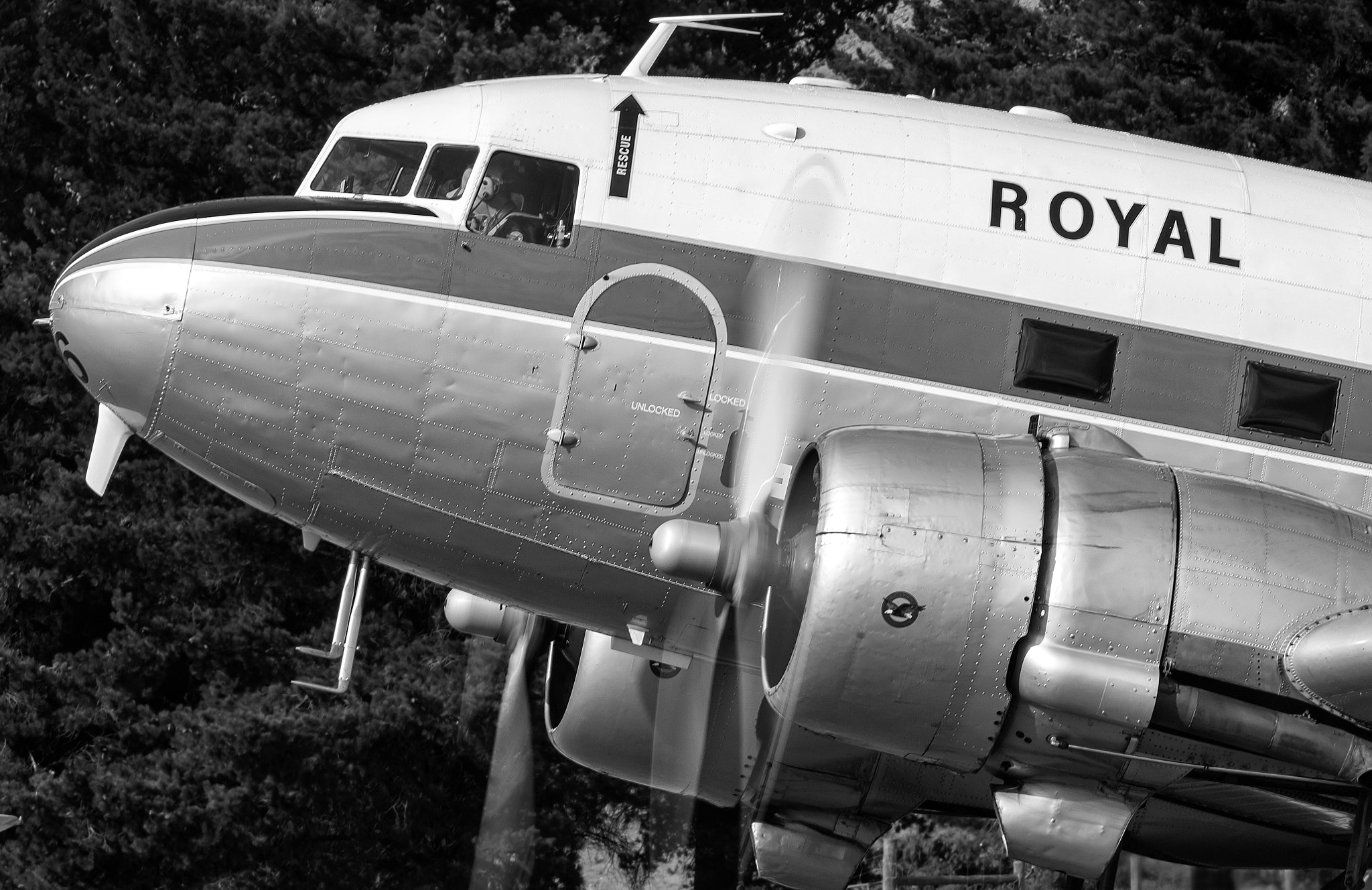 Nikon D2X sample photo. Zk-dak black and white photography