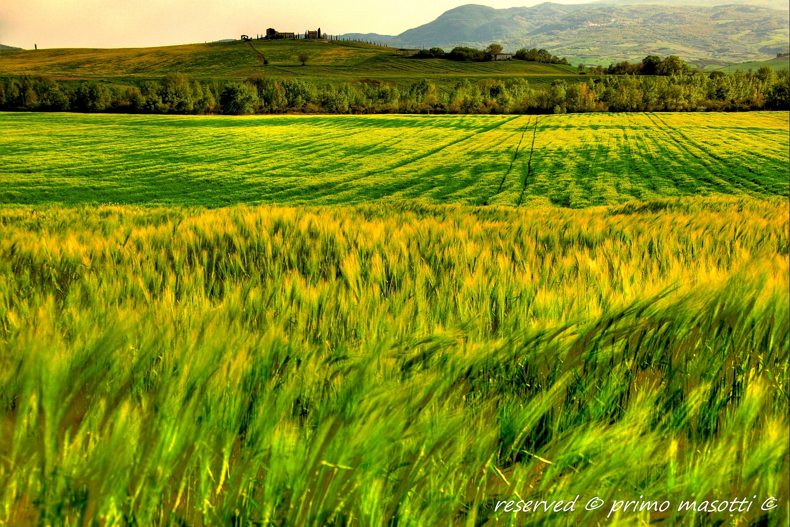 Pienza Val d'Orcia dvd