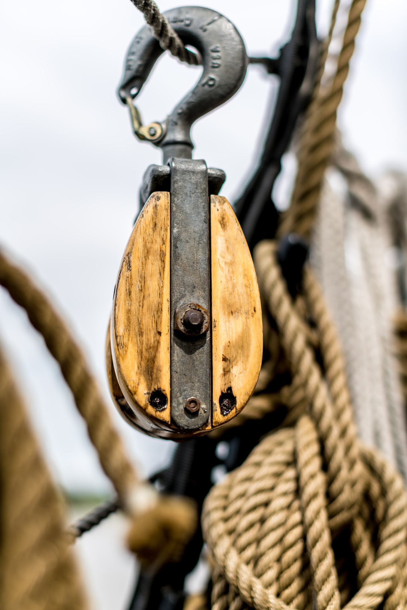 Sony a7R II + Canon EF 50mm F1.2L USM sample photo. Hook photography