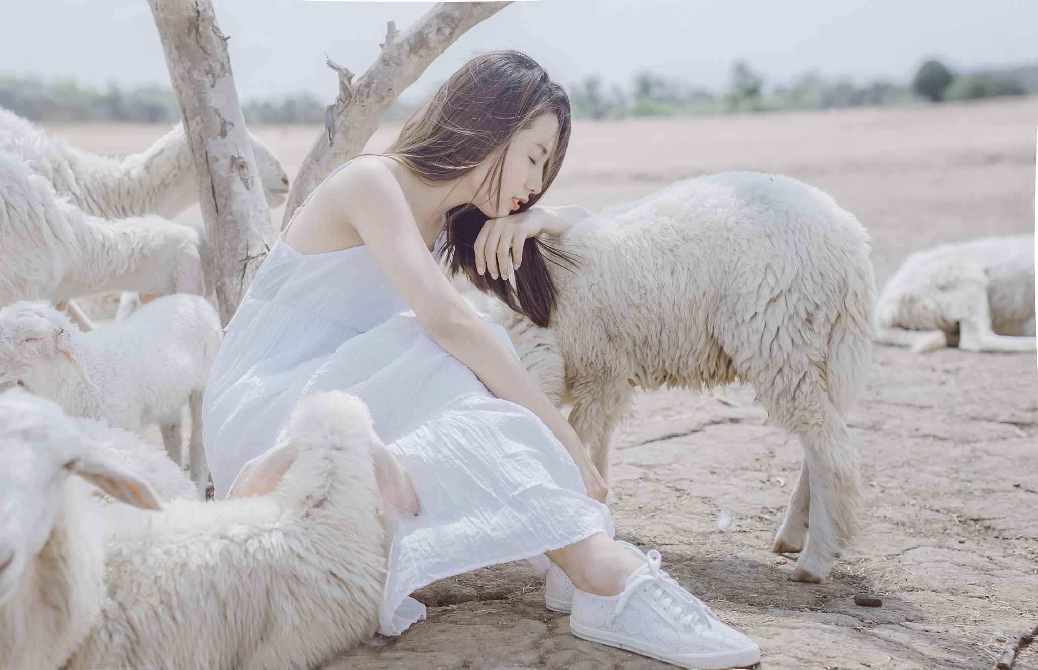 Canon EOS-1D Mark II N sample photo