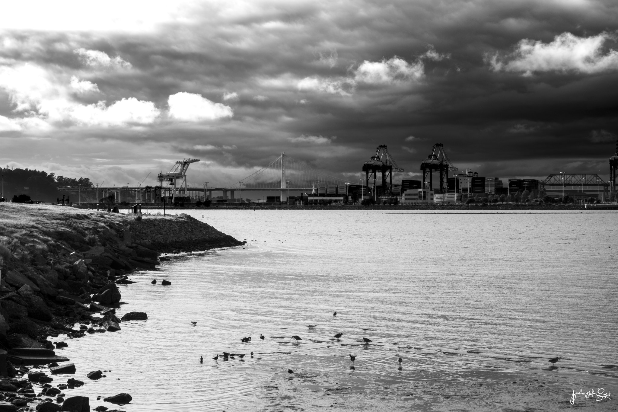 Nikon D5500 + Sigma 17-70mm F2.8-4 DC Macro OS HSM | C sample photo. Port of oakland photography