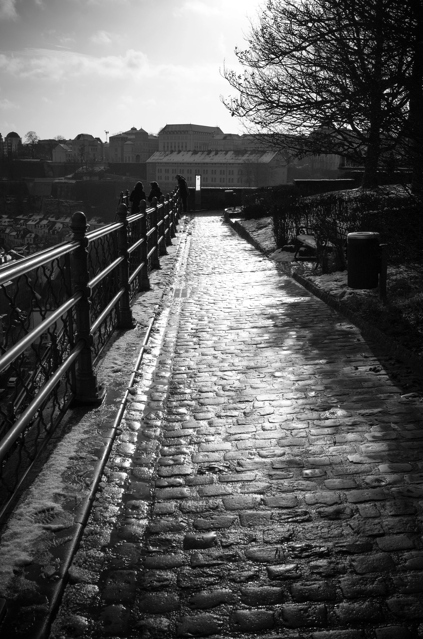 Summicron T 1:2 23 ASPH. sample photo. Memory of sunny days photography