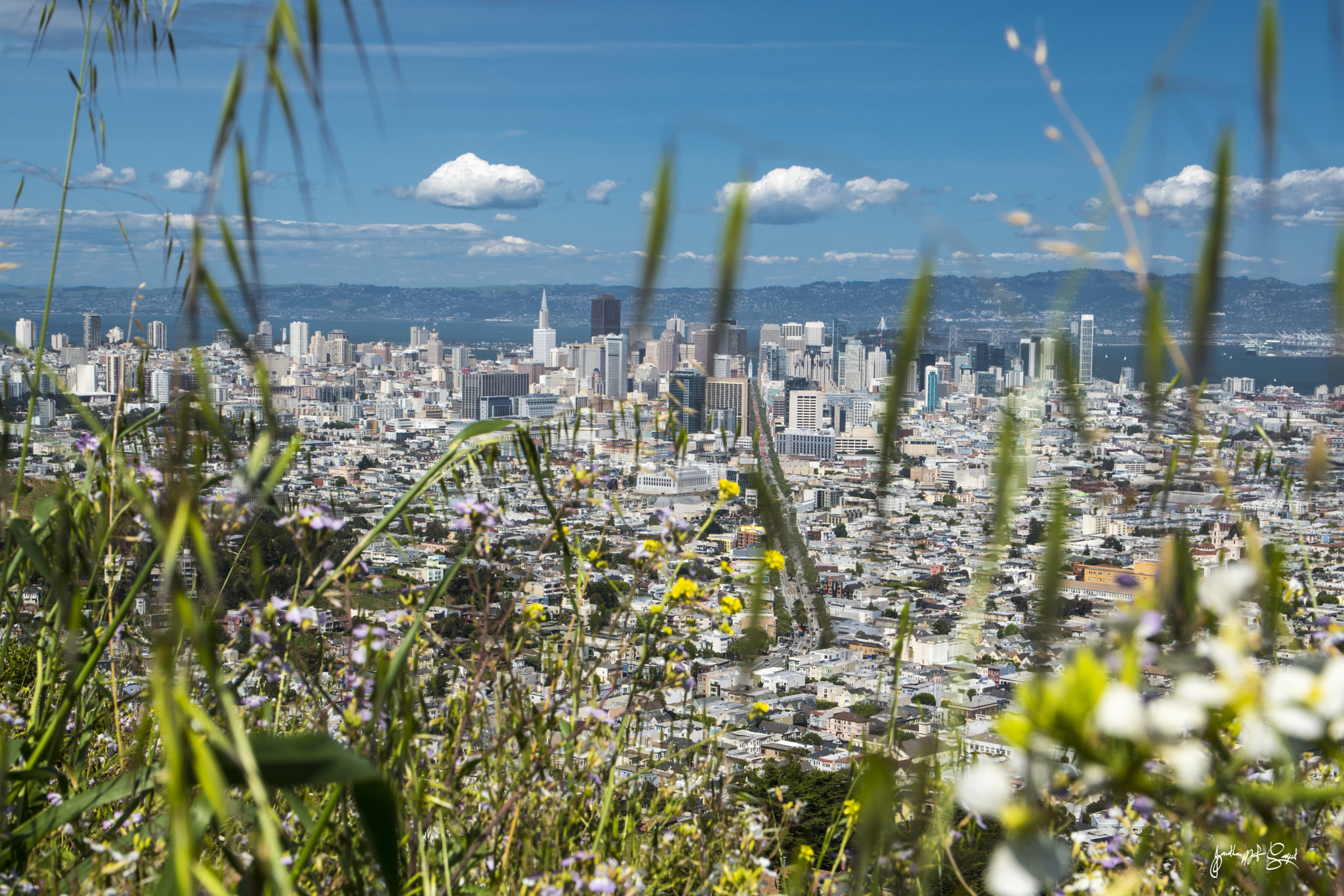 Sigma 17-70mm F2.8-4 DC Macro OS HSM | C sample photo. City through the flowers photography