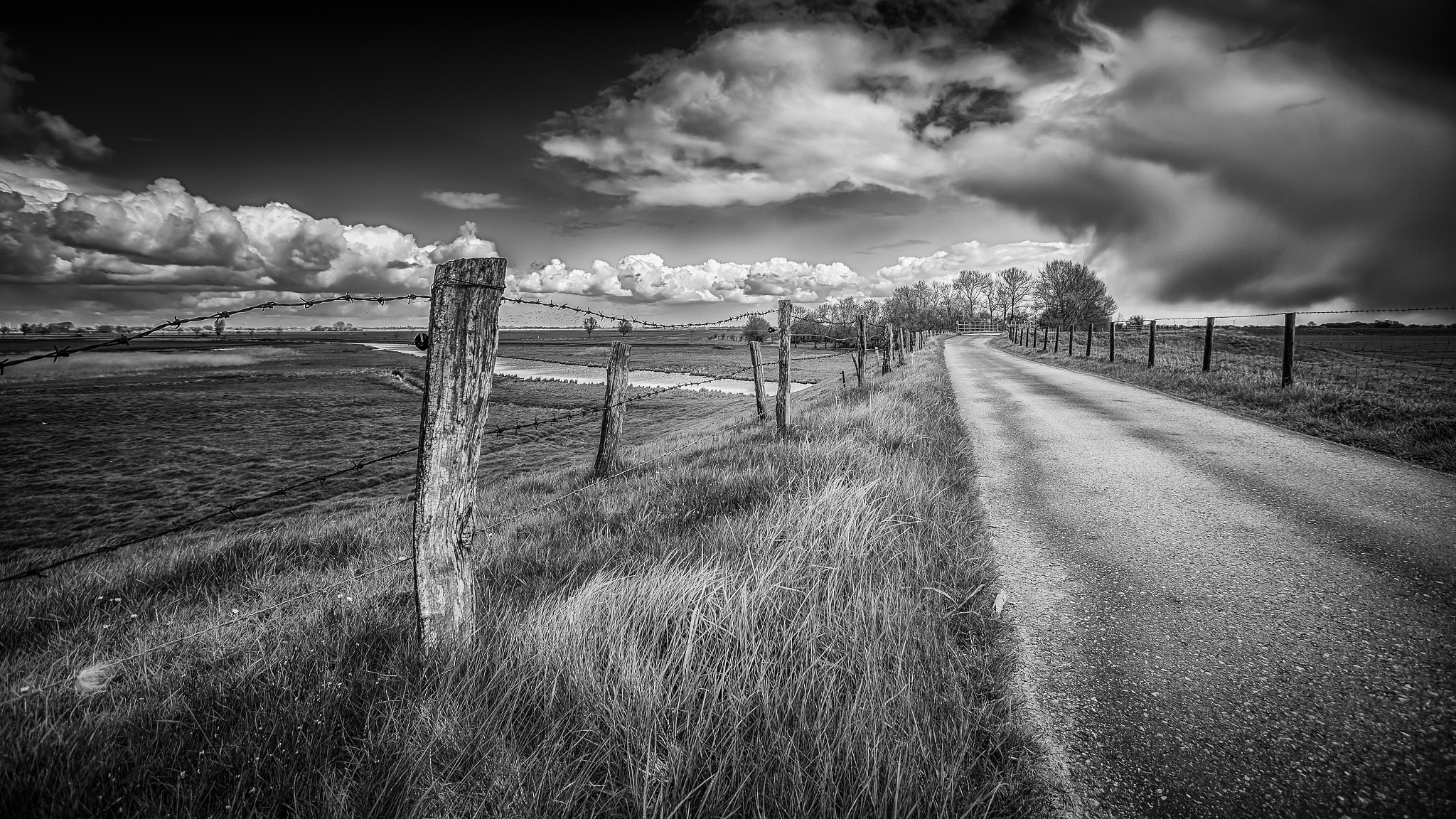 Sigma 15-30mm f/3.5-4.5 EX DG Aspherical sample photo. Field view photography