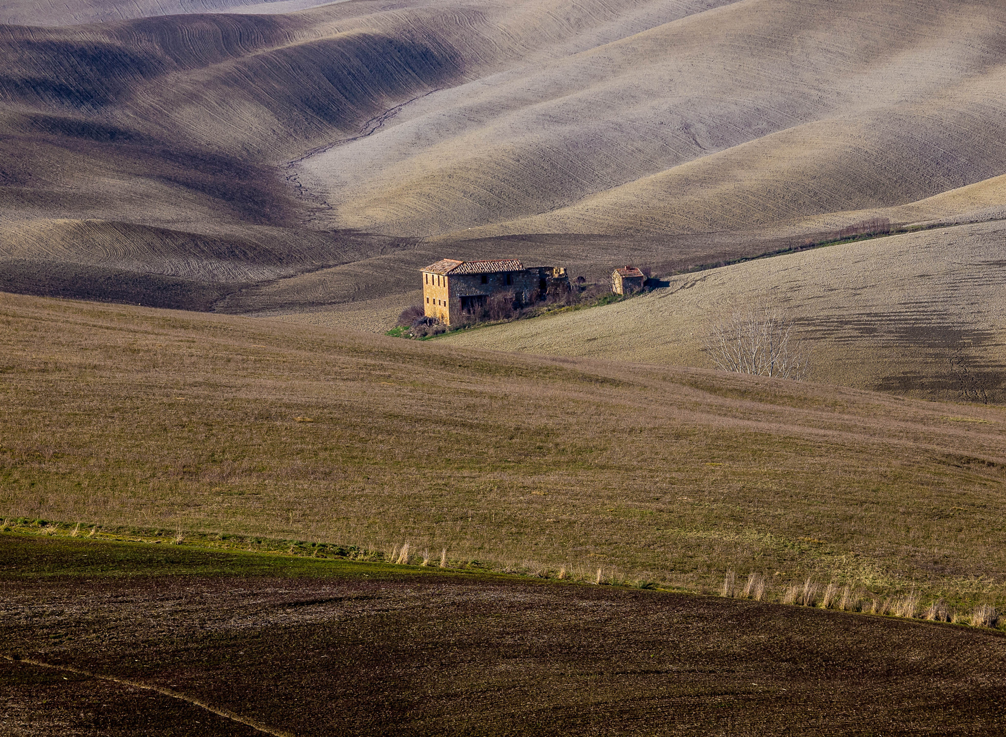 Olympus E-5 sample photo. Val d'orcia photography