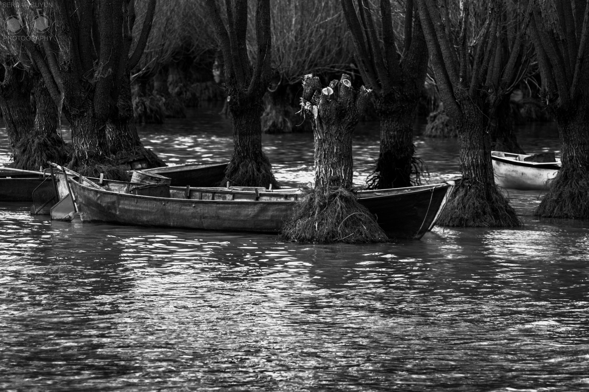 Canon EOS 760D (EOS Rebel T6s / EOS 8000D) sample photo. Işıklı lake photography