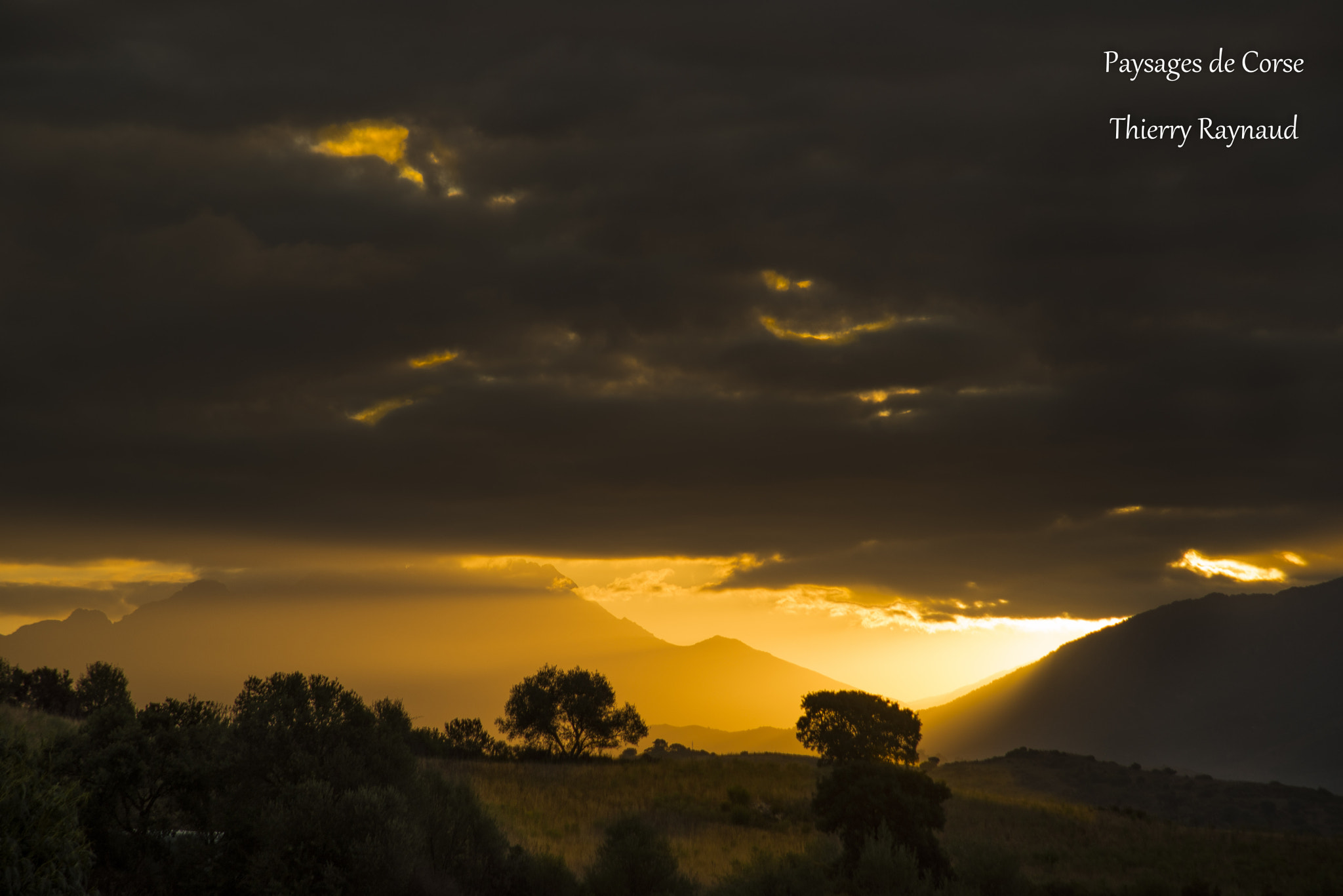 AF Zoom-Nikkor 24-120mm f/3.5-5.6D IF sample photo. Ce matin photography