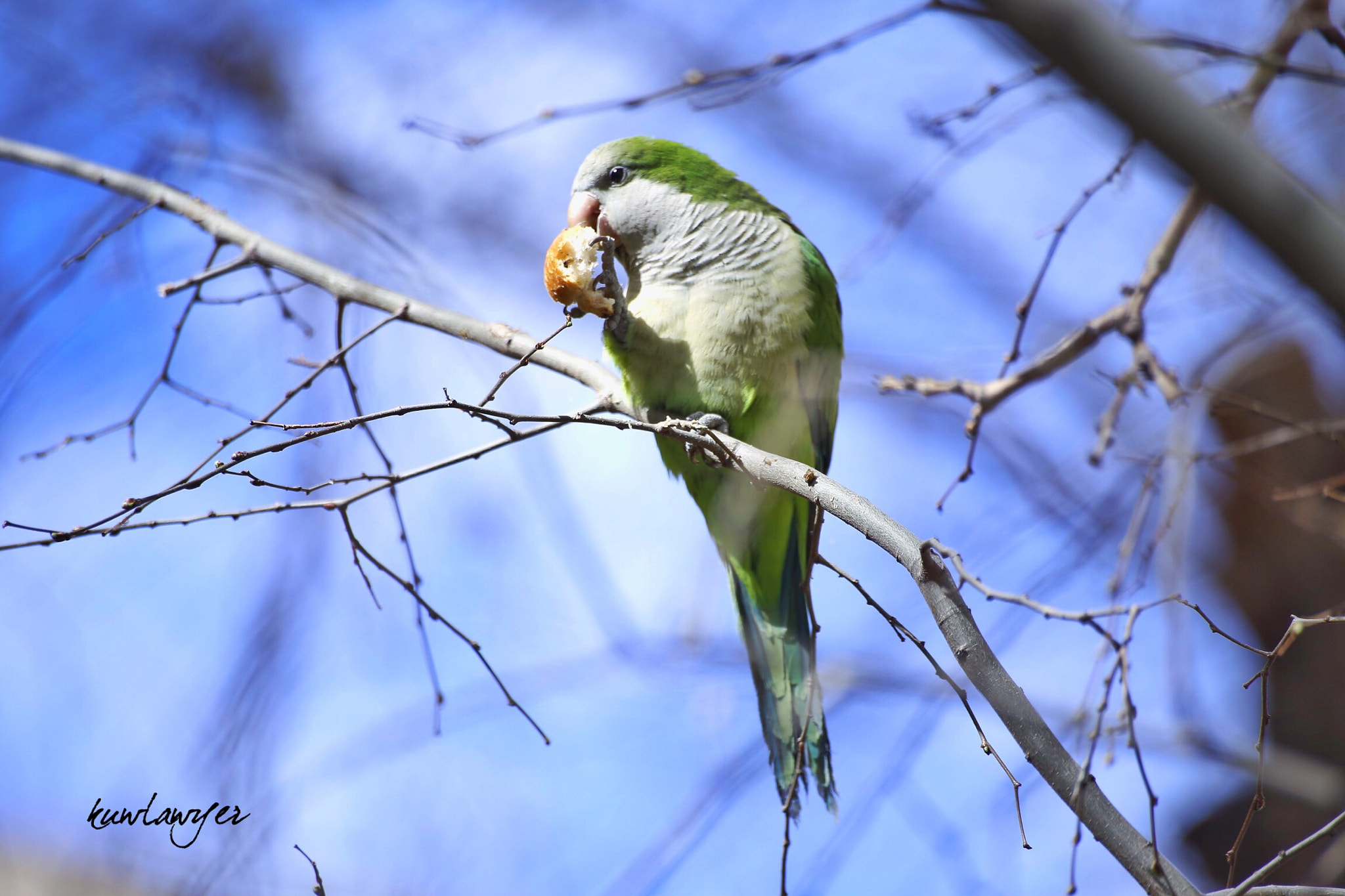 Canon EOS 6D + Canon 70-300mm sample photo. Breakfast photography