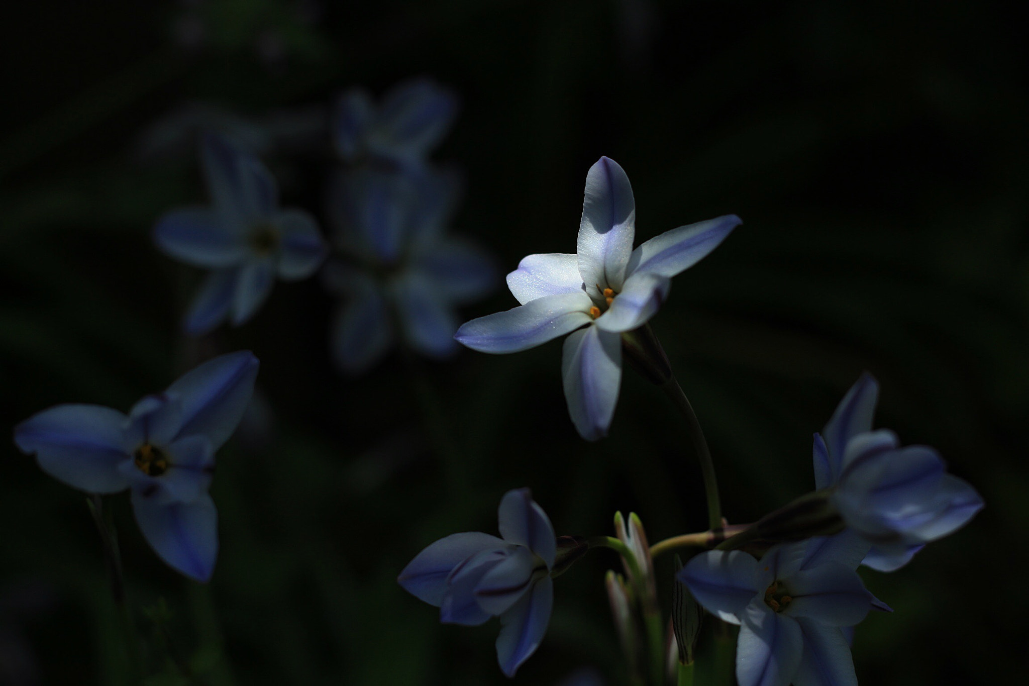 Canon EOS M + Canon EF 50mm F1.8 STM sample photo