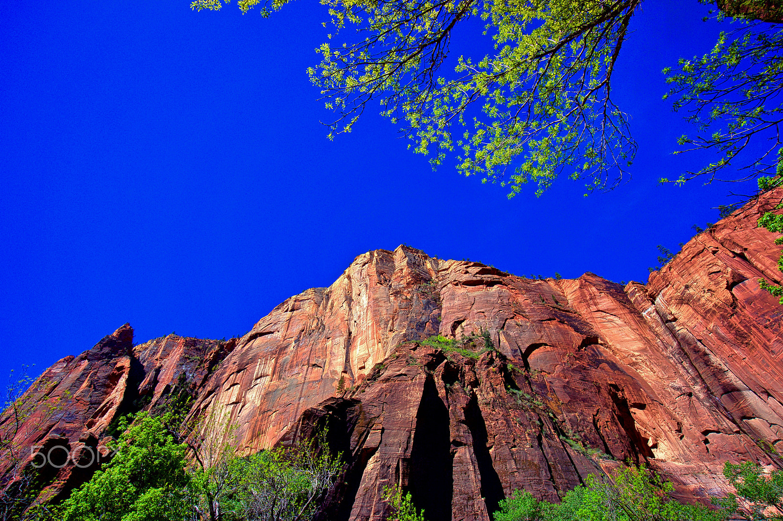 Sony Alpha NEX-7 + Sony E 10-18mm F4 OSS sample photo. Zion national park utah photography