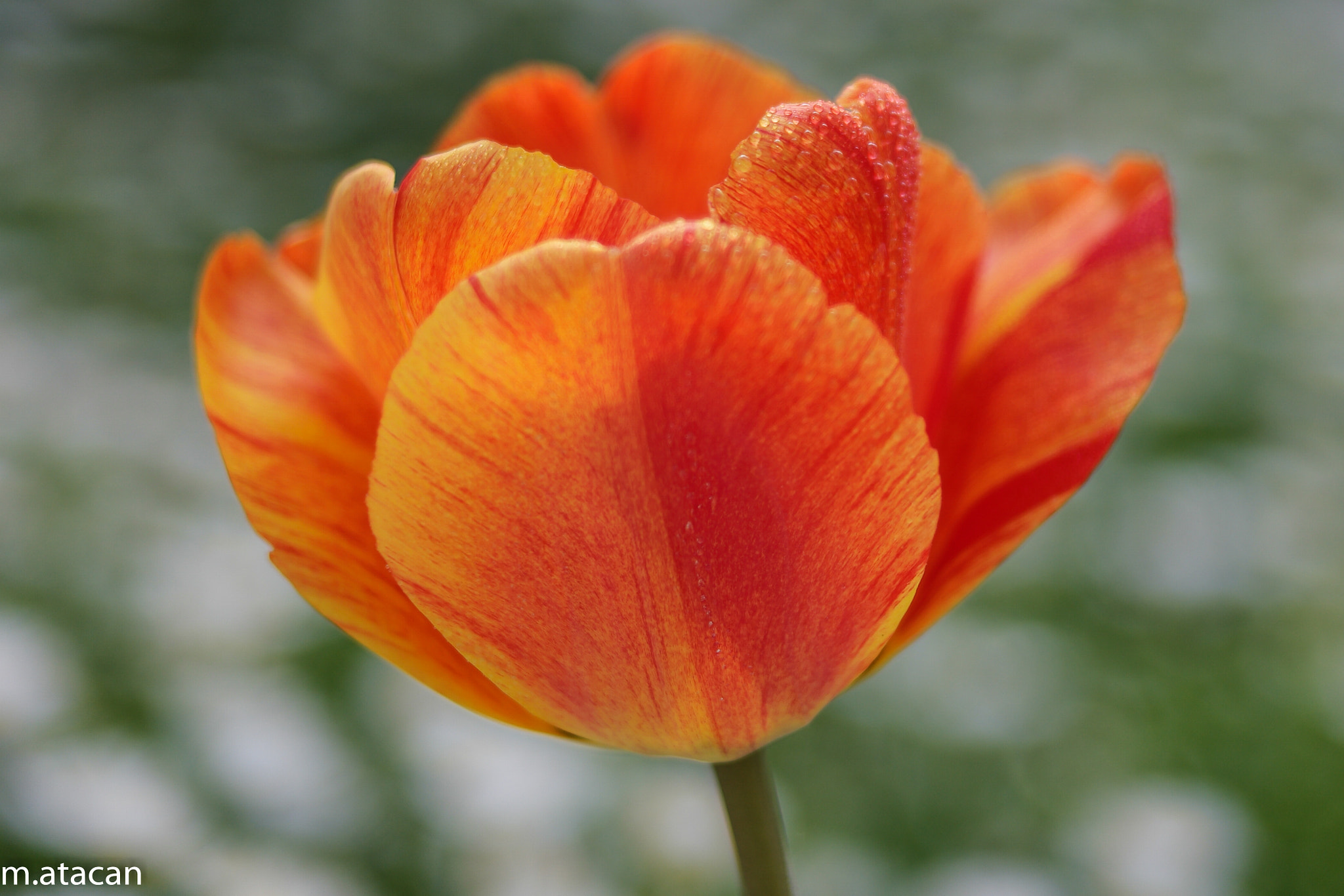 Samsung NX 45mm F1.8 sample photo. Looks like flame photography