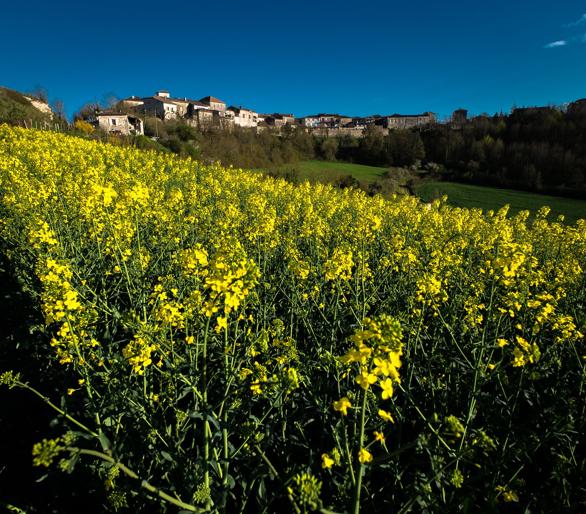 Fujifilm X-M1 + Fujifilm XF 10-24mm F4 R OIS sample photo. Castelnau () photography