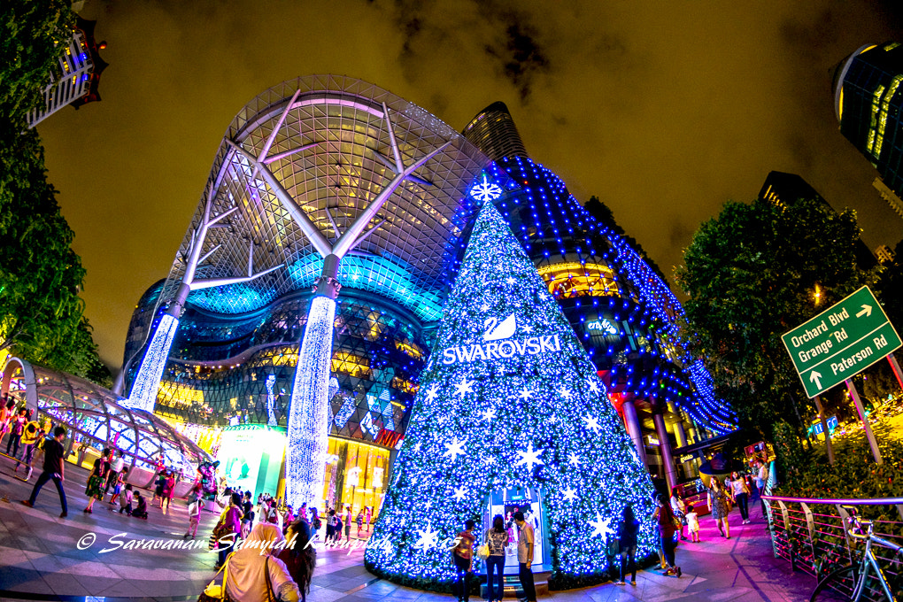 Nikon D3300 + Samyang 8mm F3.5 Aspherical IF MC Fisheye sample photo. Lovely night photography