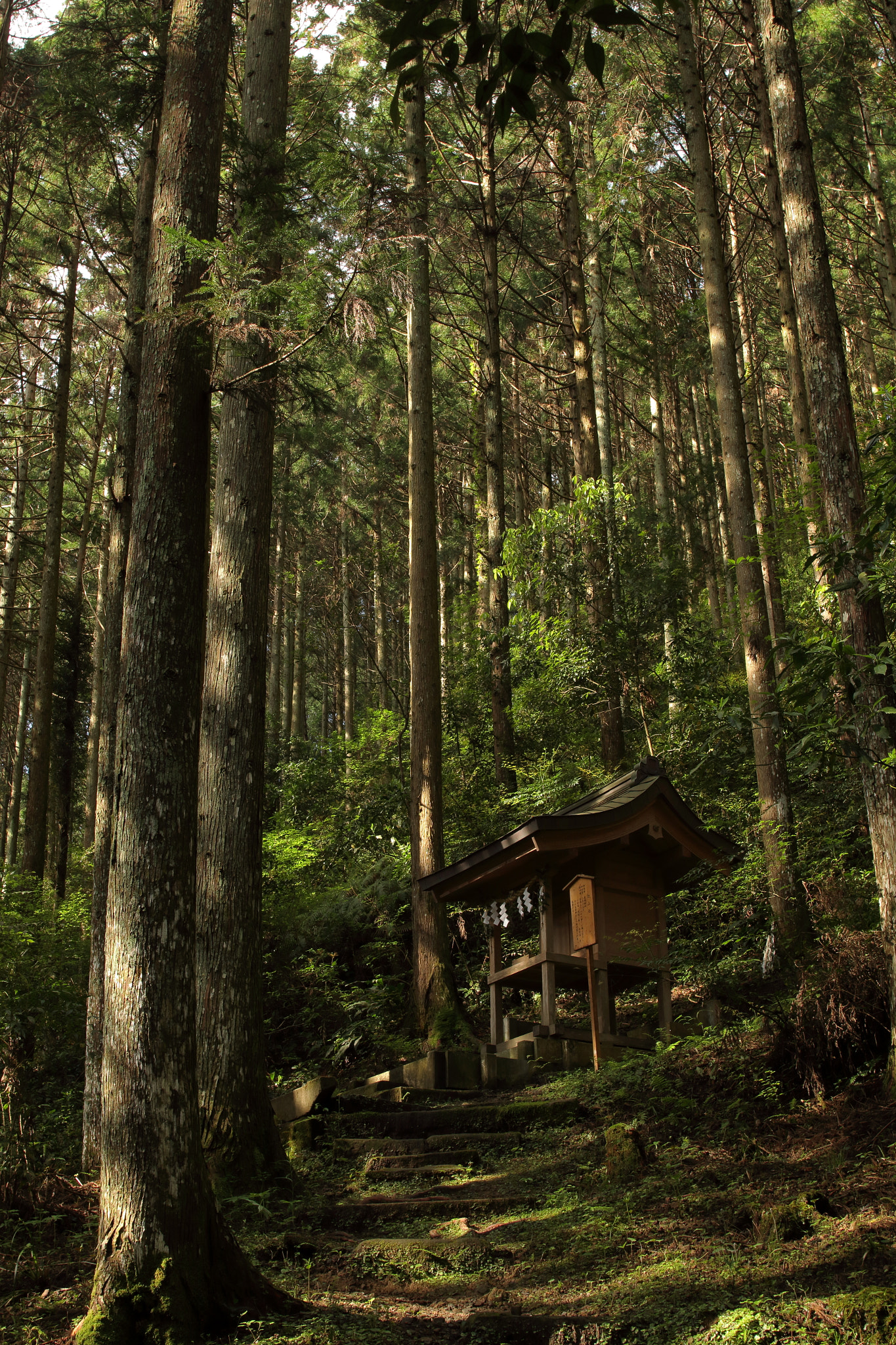 Sigma 28mm f/1.8 DG Macro EX sample photo. ...山の神。 photography