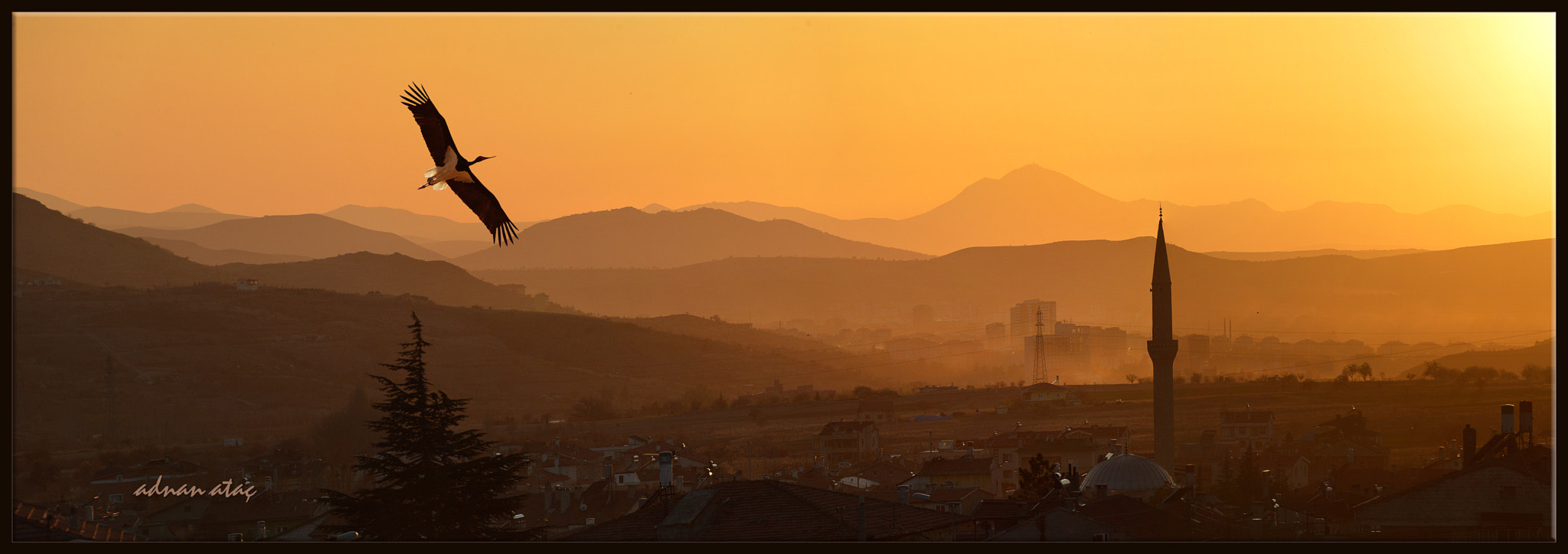 Sigma 50-500mm F4.5-6.3 DG OS HSM sample photo. Uçhisar ve kara leylek (ciconia nigra - black stork) photography