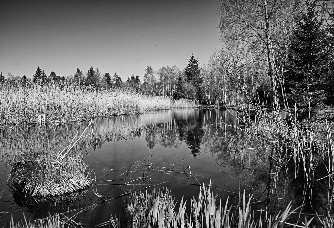 Canon EOS 5D Mark II + Canon EF 24mm F2.8 sample photo. Weiher photography