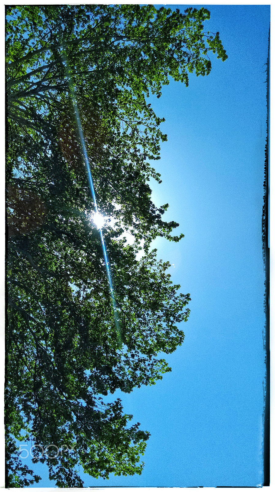 HTC 0P9C8 sample photo. Sun through trees photography