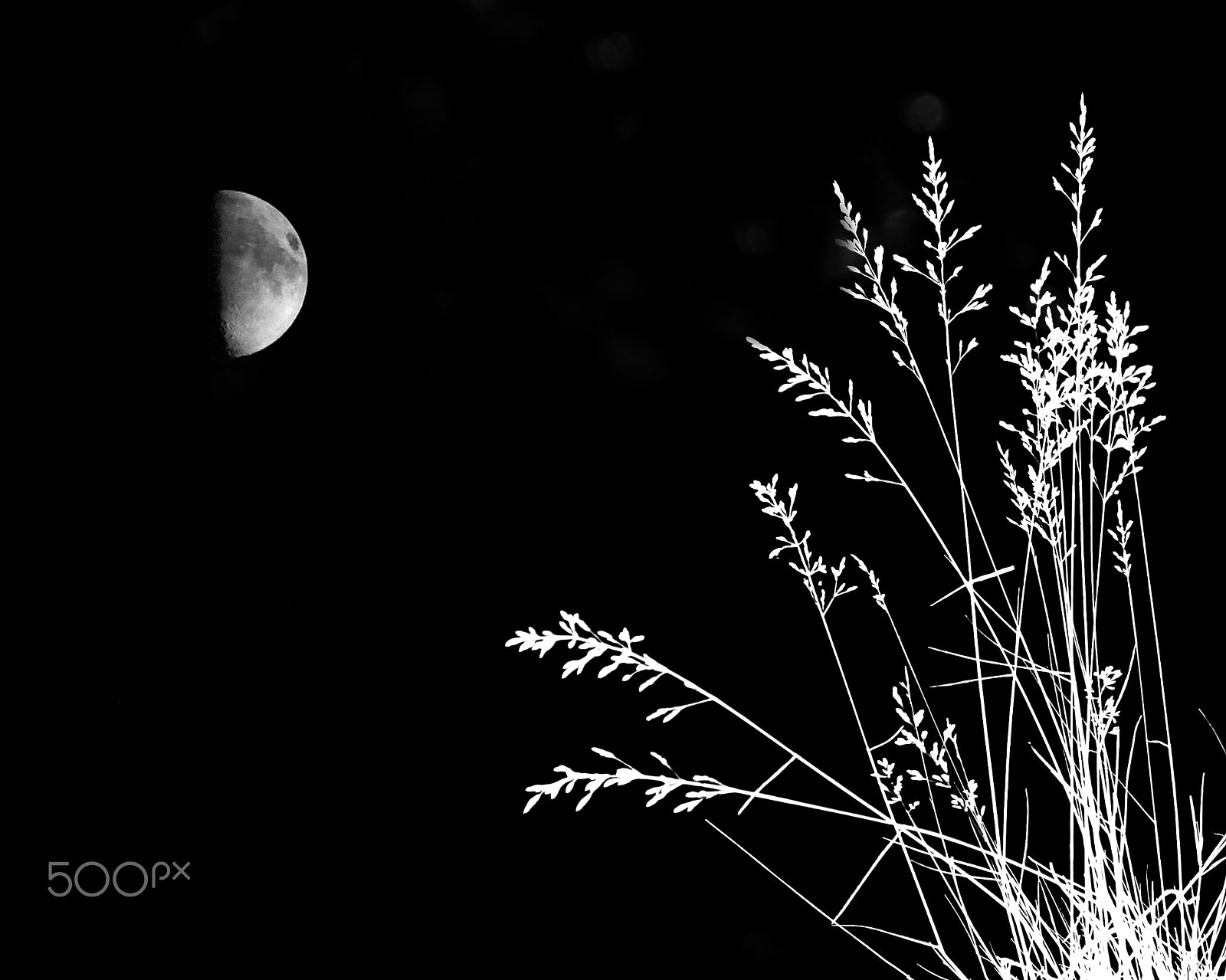 Canon EF-S 55-250mm F4-5.6 IS II sample photo. La vie n'est qu'une suite de mirages photography