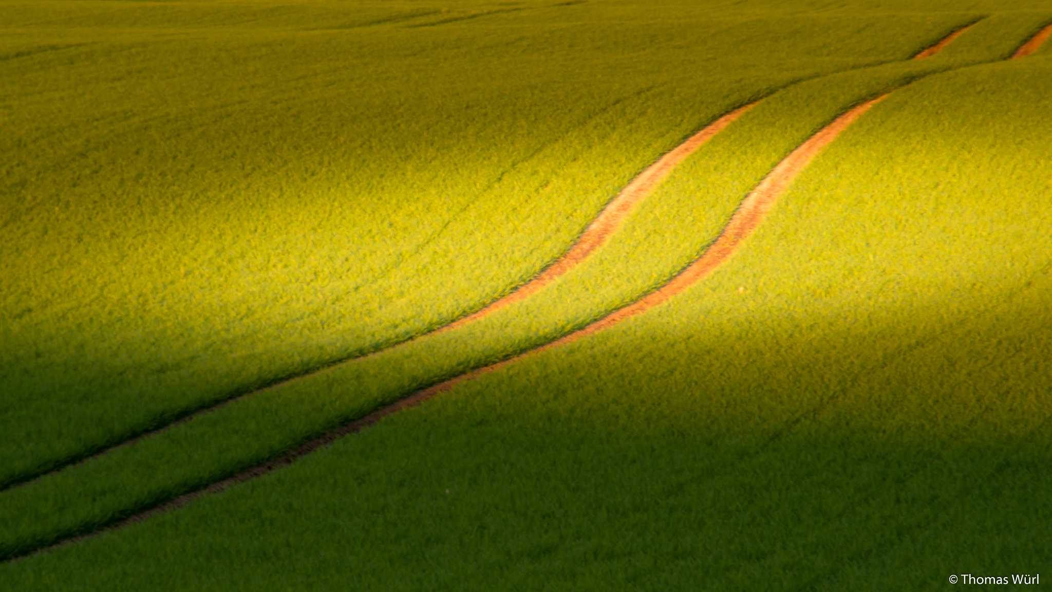 Fujifilm X-M1 + Fujifilm XC 50-230mm F4.5-6.7 OIS sample photo. Der weg ist dein ziel :)  photography