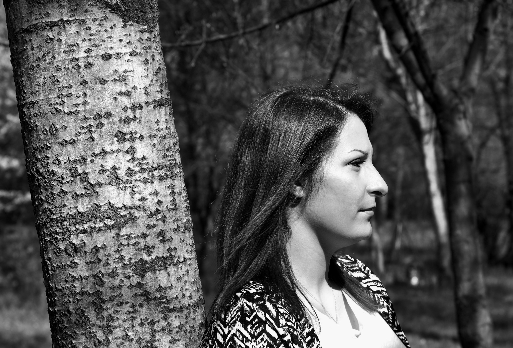 Nikon D90 + Sigma 28-70mm F2.8 EX sample photo. In the wood photography