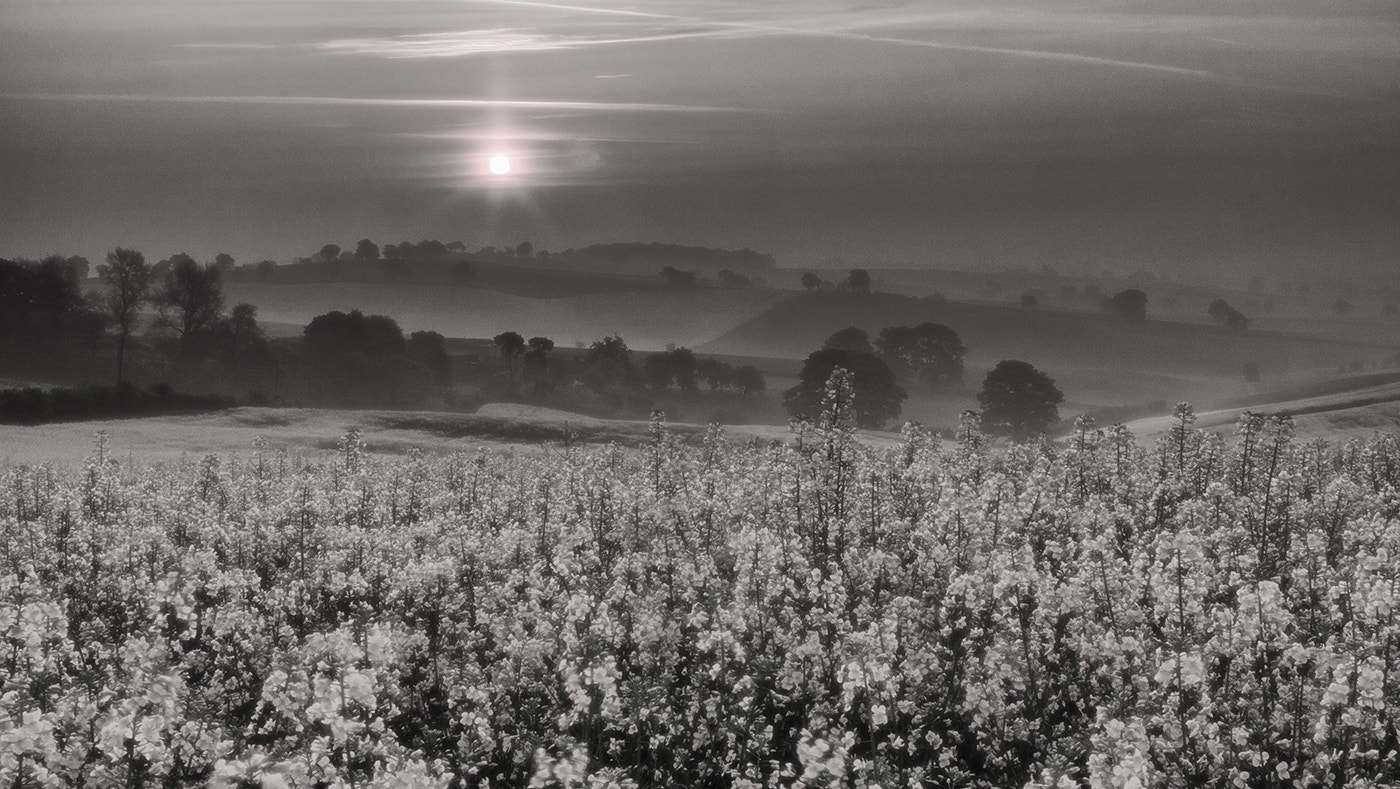 EF28-70mm f/2.8L USM sample photo. Spring dawn photography
