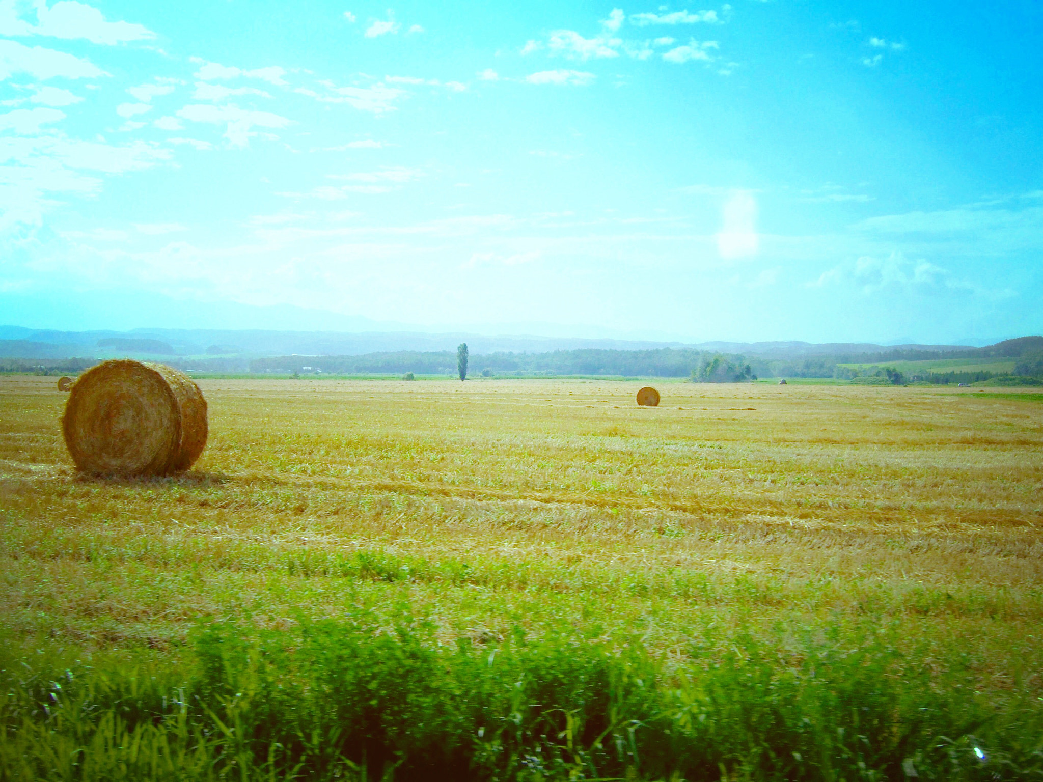 Fujifilm FinePix F30 sample photo. Afternoon in hokkaido photography