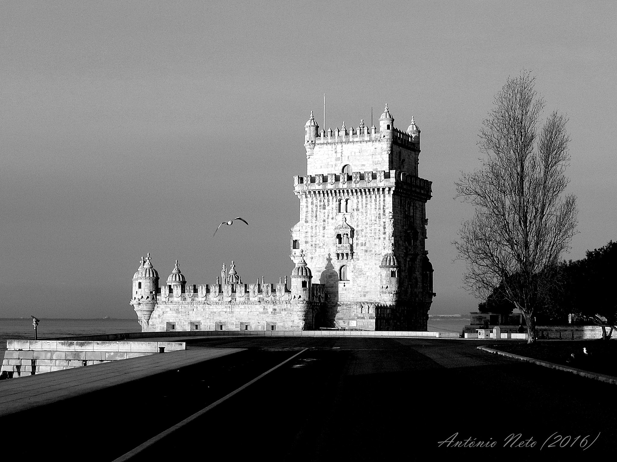 Canon POWERSHOT S50 sample photo. A torre de belém e a liberdade photography