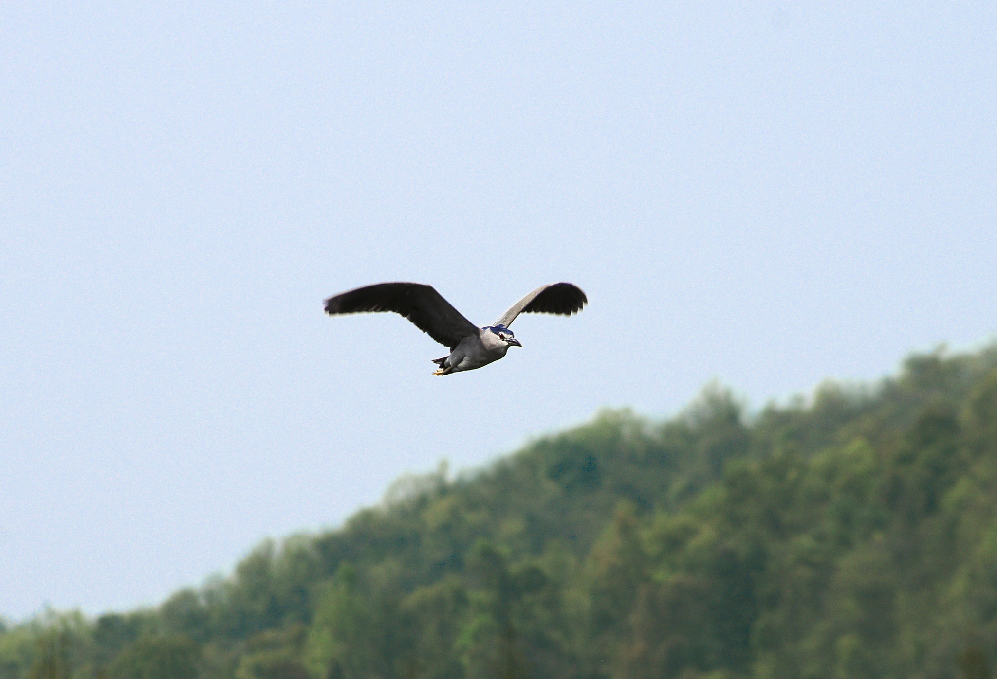 smc PENTAX-DA L 55-300mm F4-5.8 ED sample photo. The sky is mine !!!!!! photography
