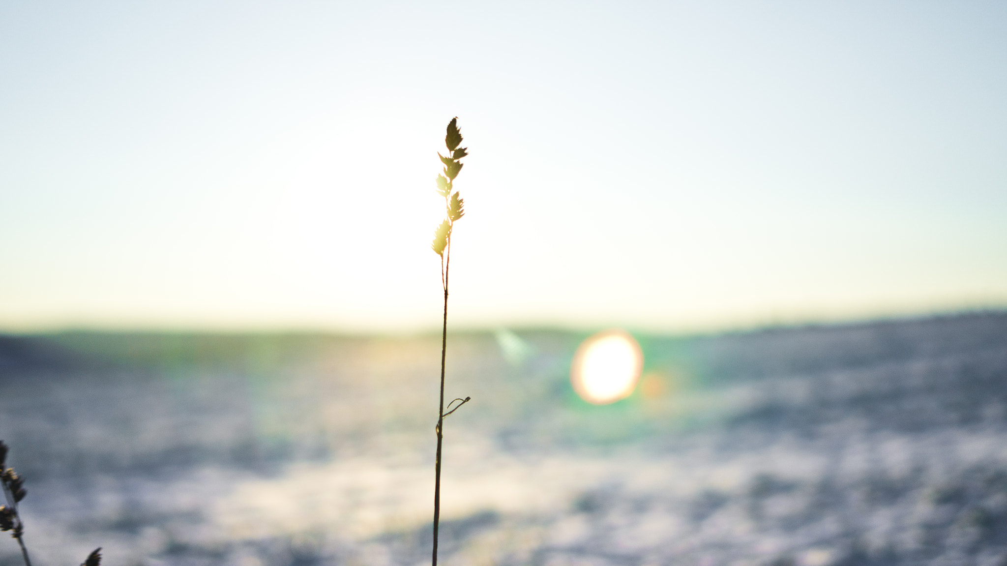 Sony E 35mm F1.8 OSS sample photo. Winter sun 01 photography