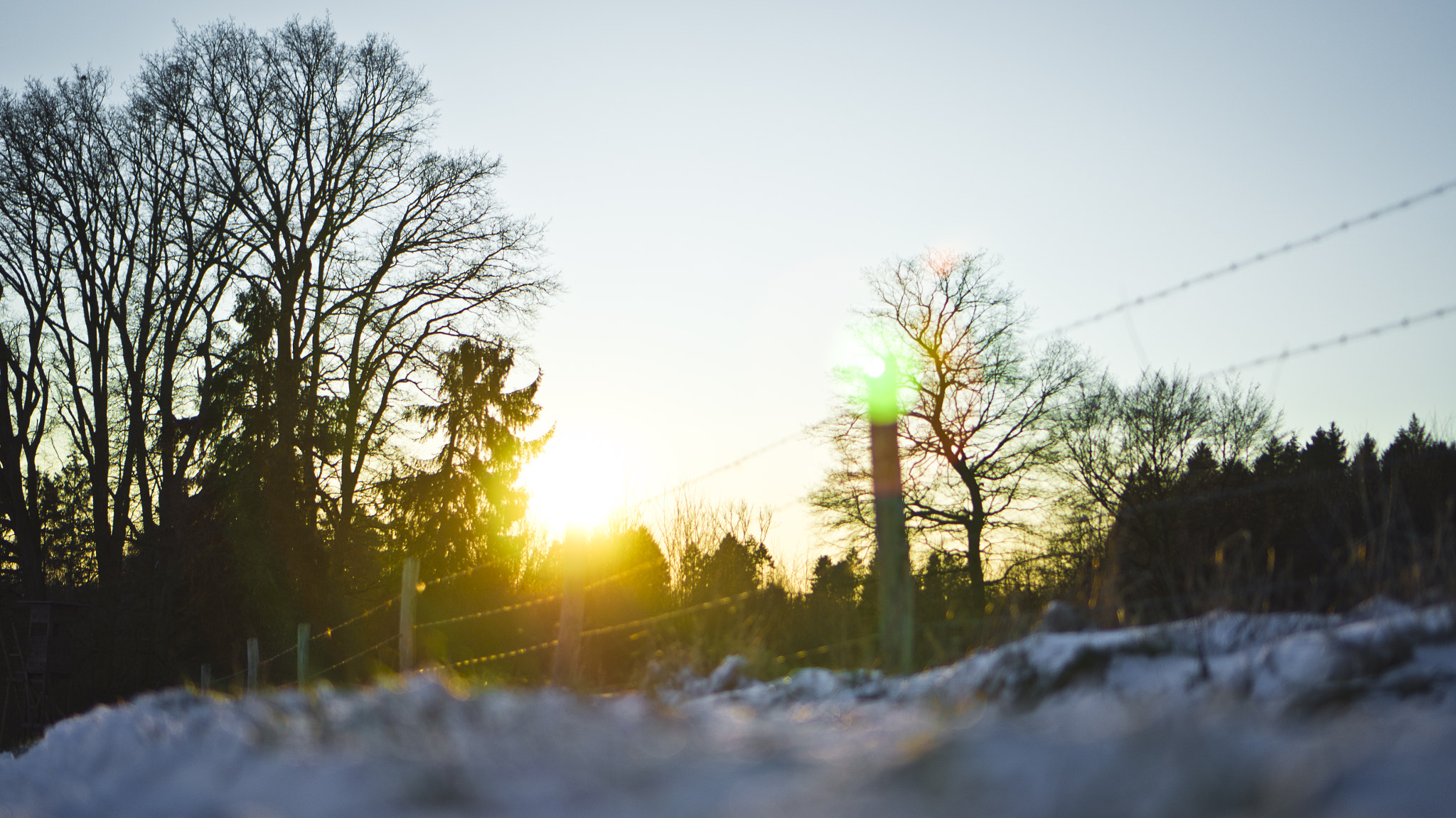 Sony E 35mm F1.8 OSS sample photo. Winter sun 03 photography